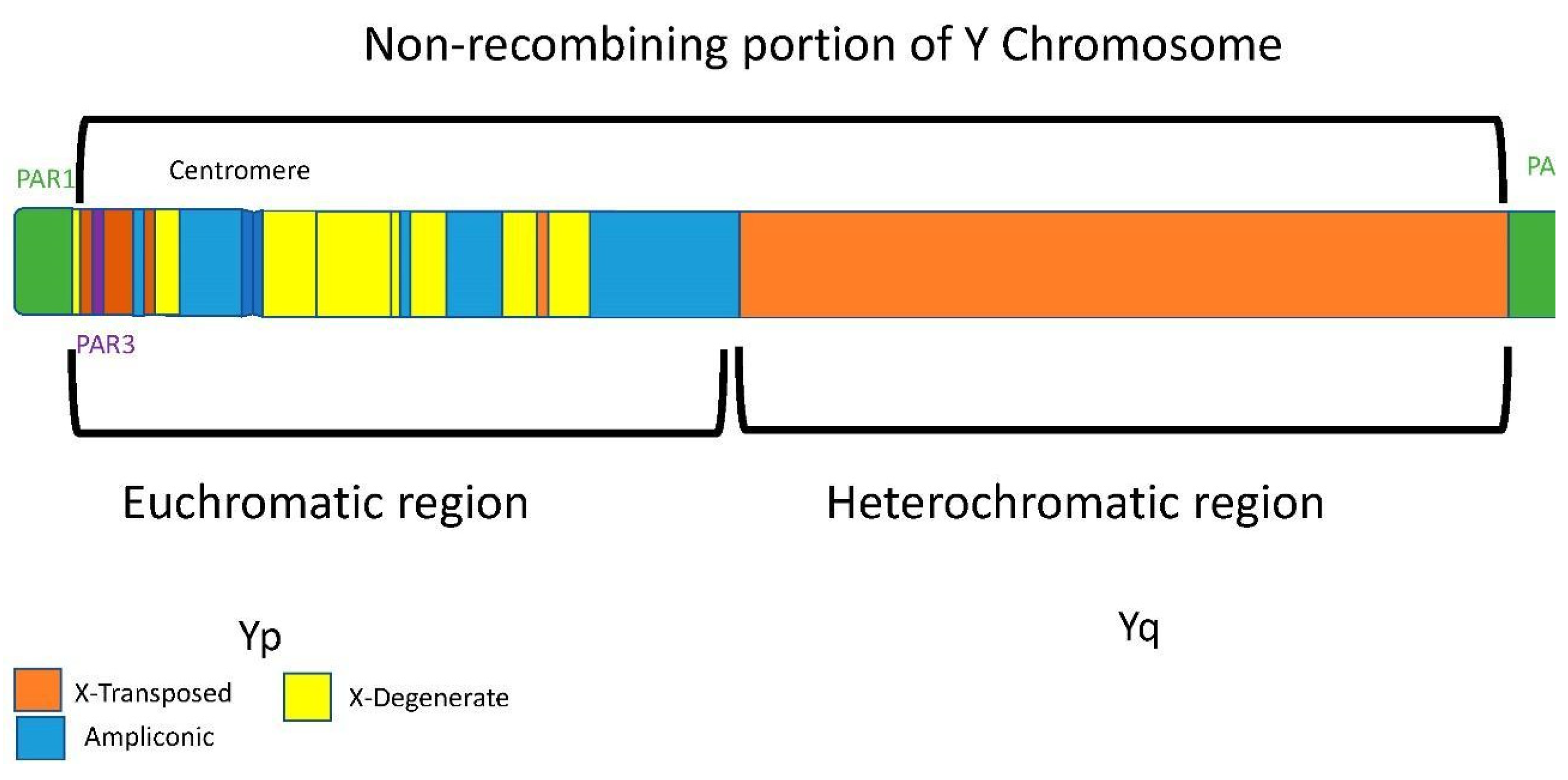 Genealogy 05 00098 g003 Genealogy 05 00098 g003