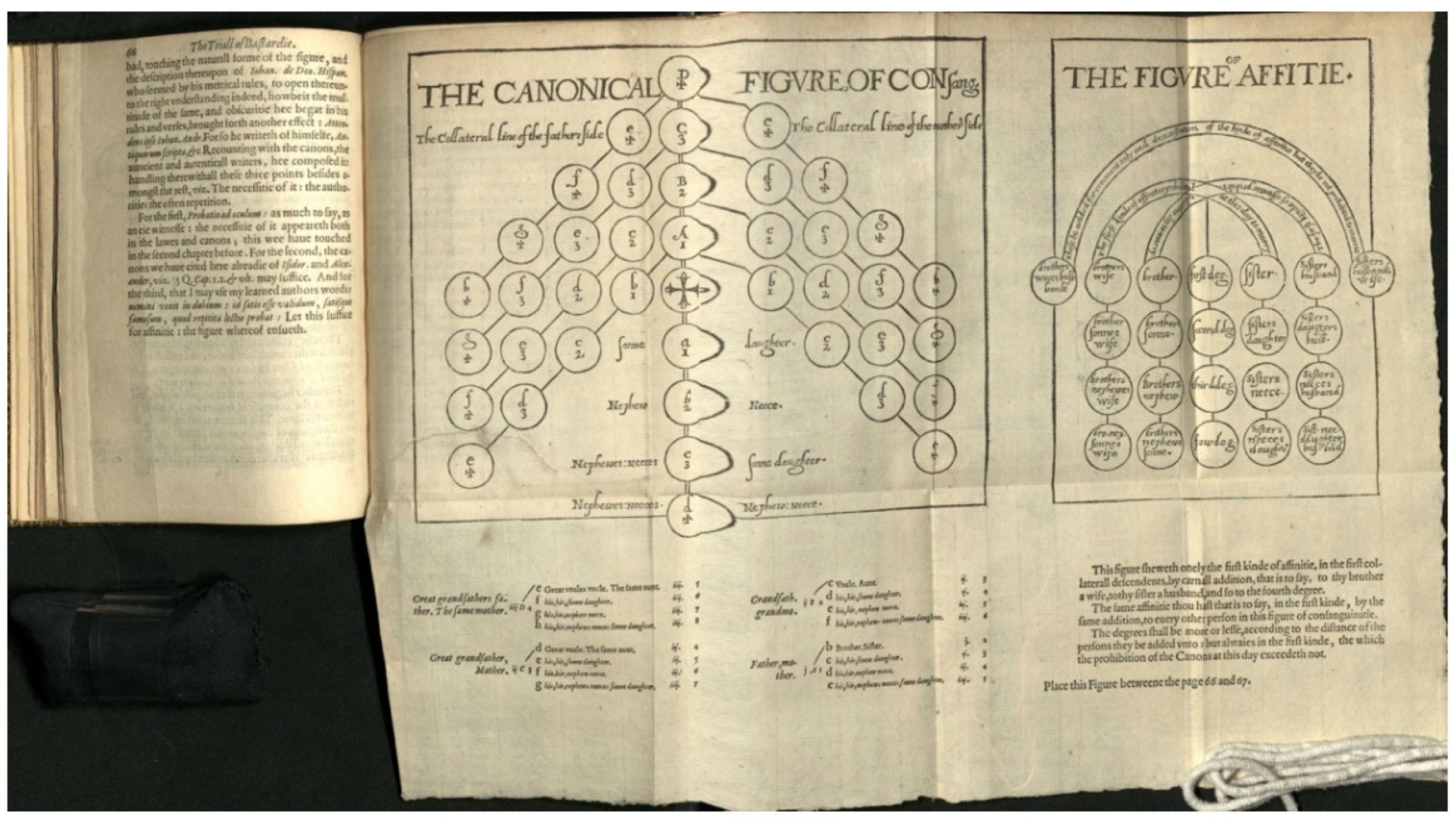 Genealogy 06 00043 g002