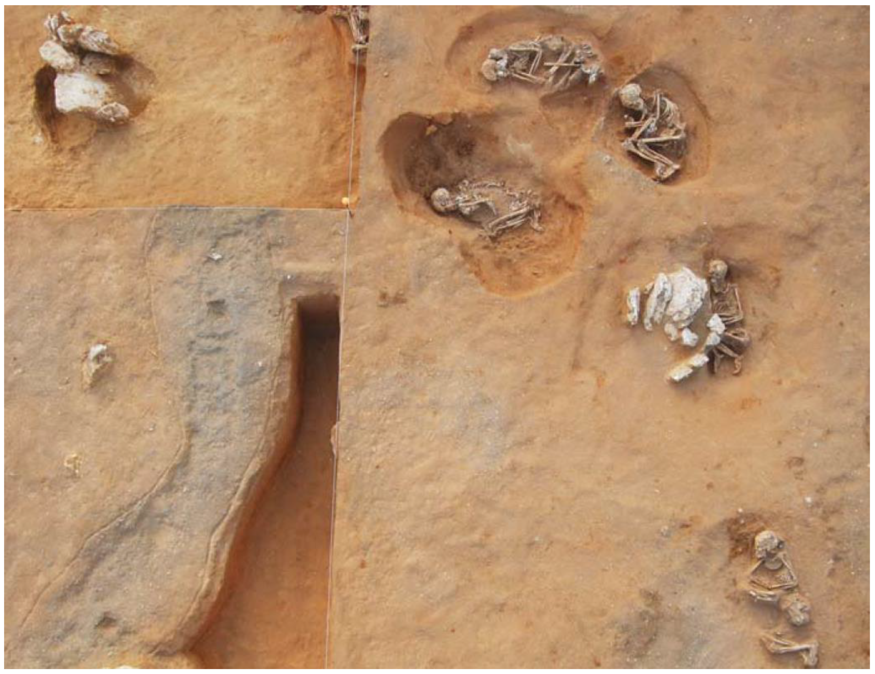 Genealogy 07 00027 g001 Genealogy 07 00027 g001