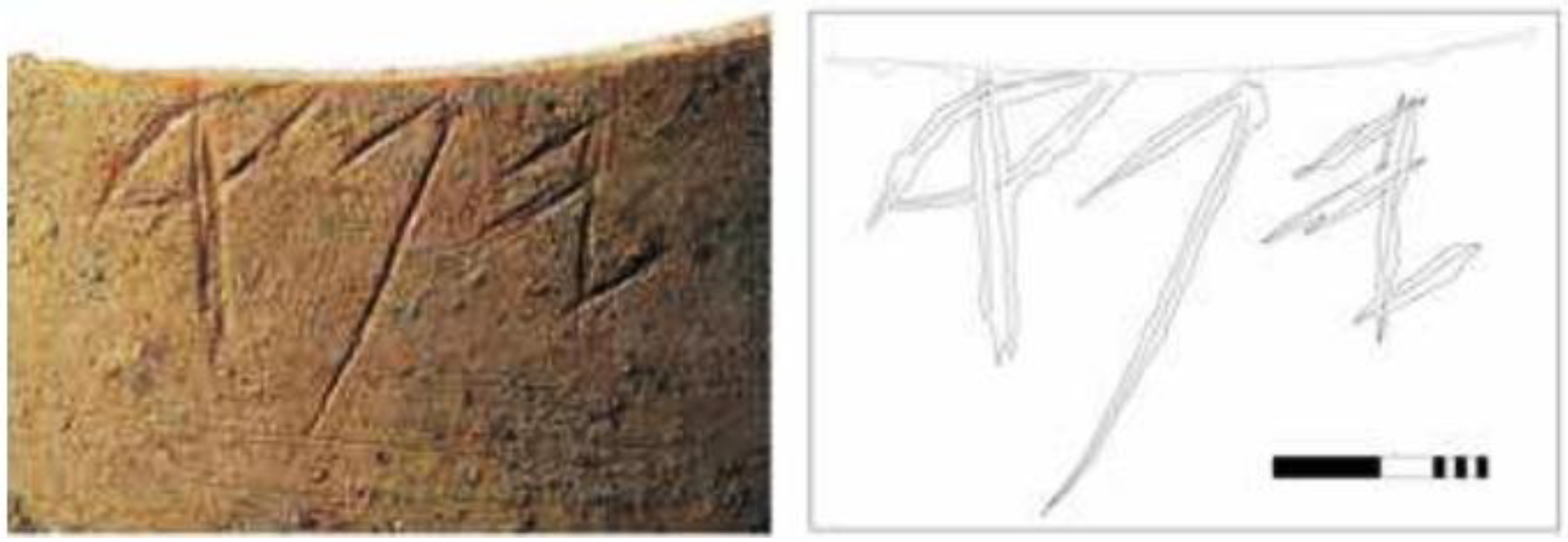 Genealogy 07 00027 g004a Genealogy 07 00027 g004a