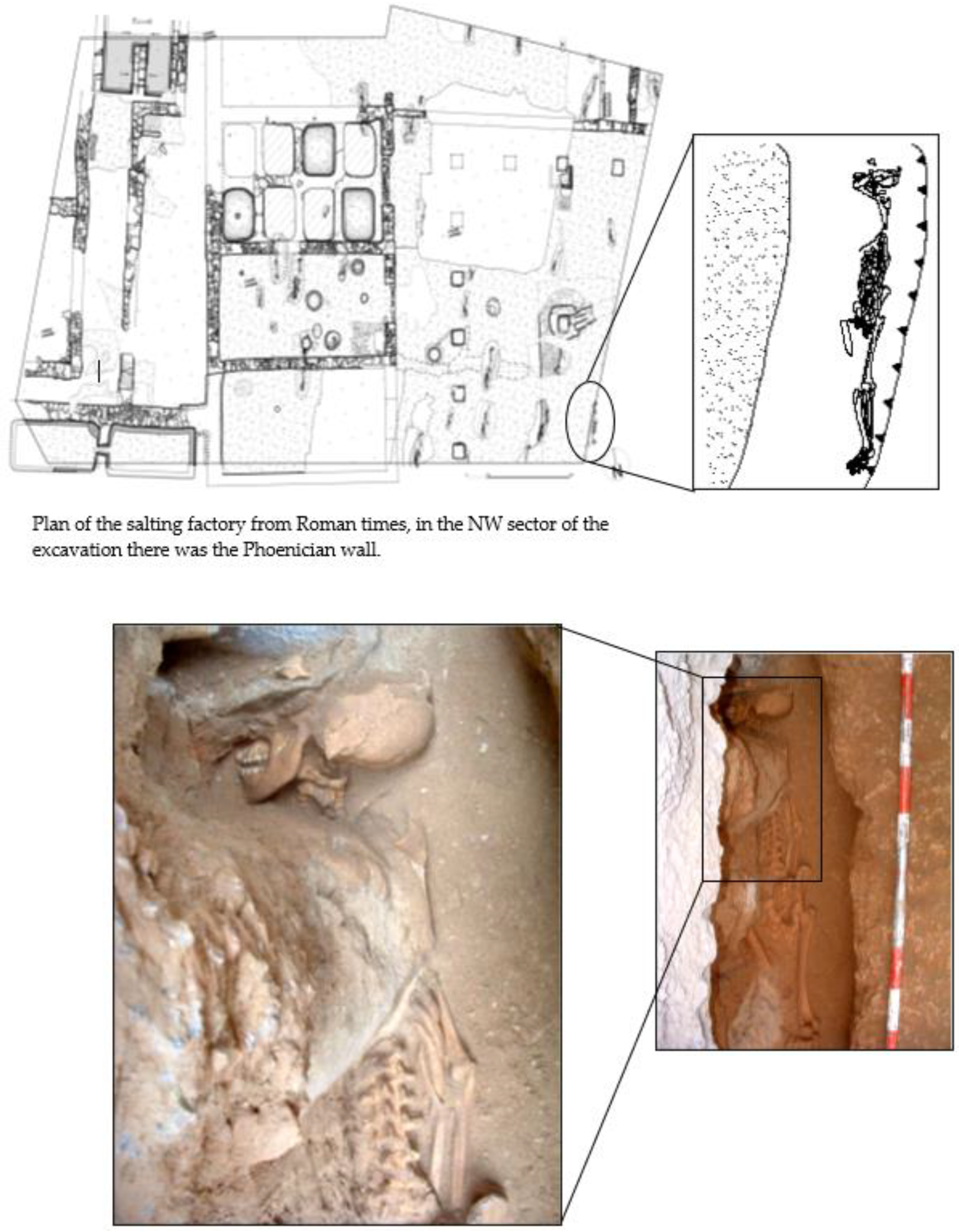 Genealogy 07 00027 g005 Genealogy 07 00027 g005