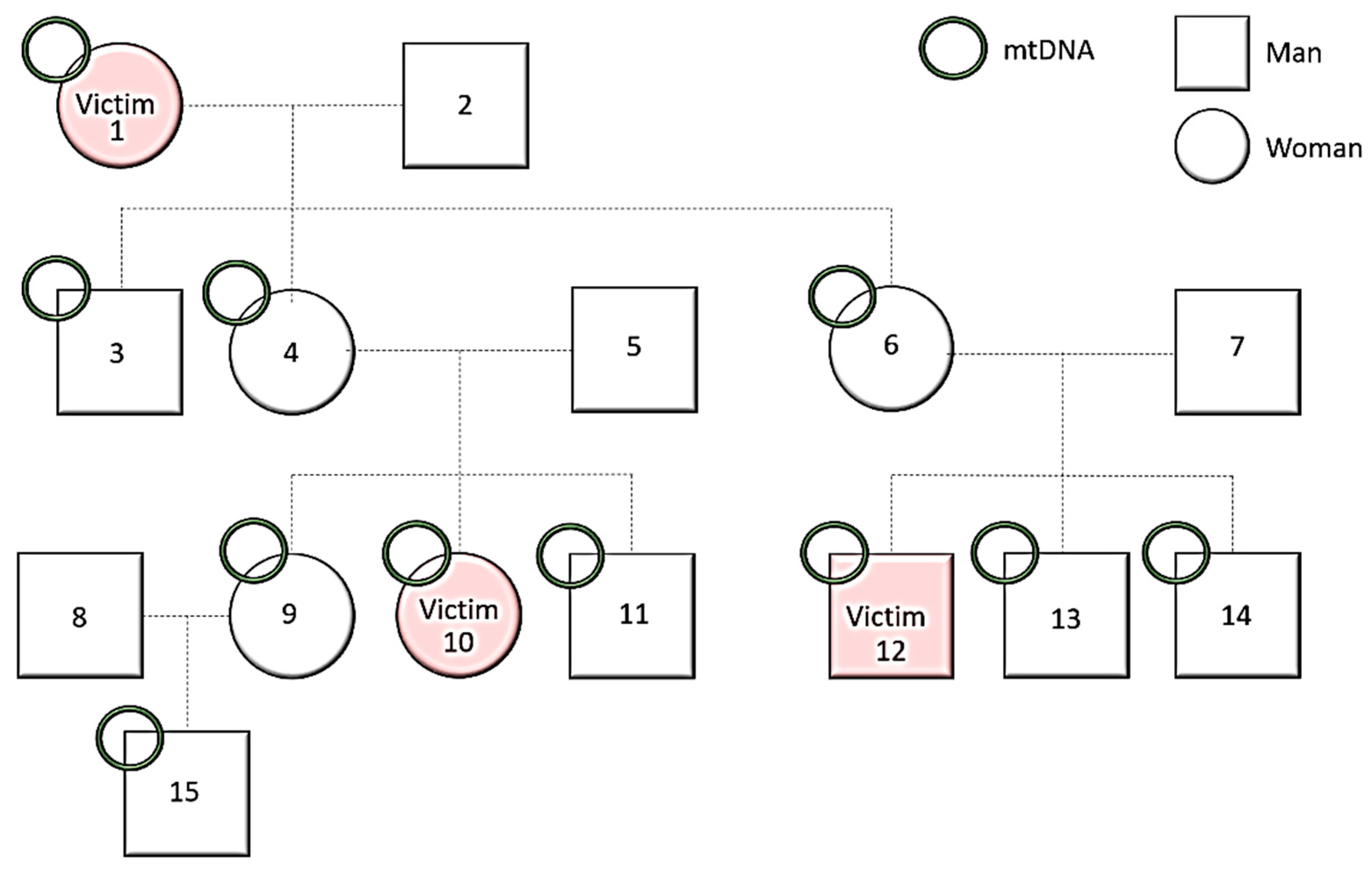 Genealogy 07 00031 g003