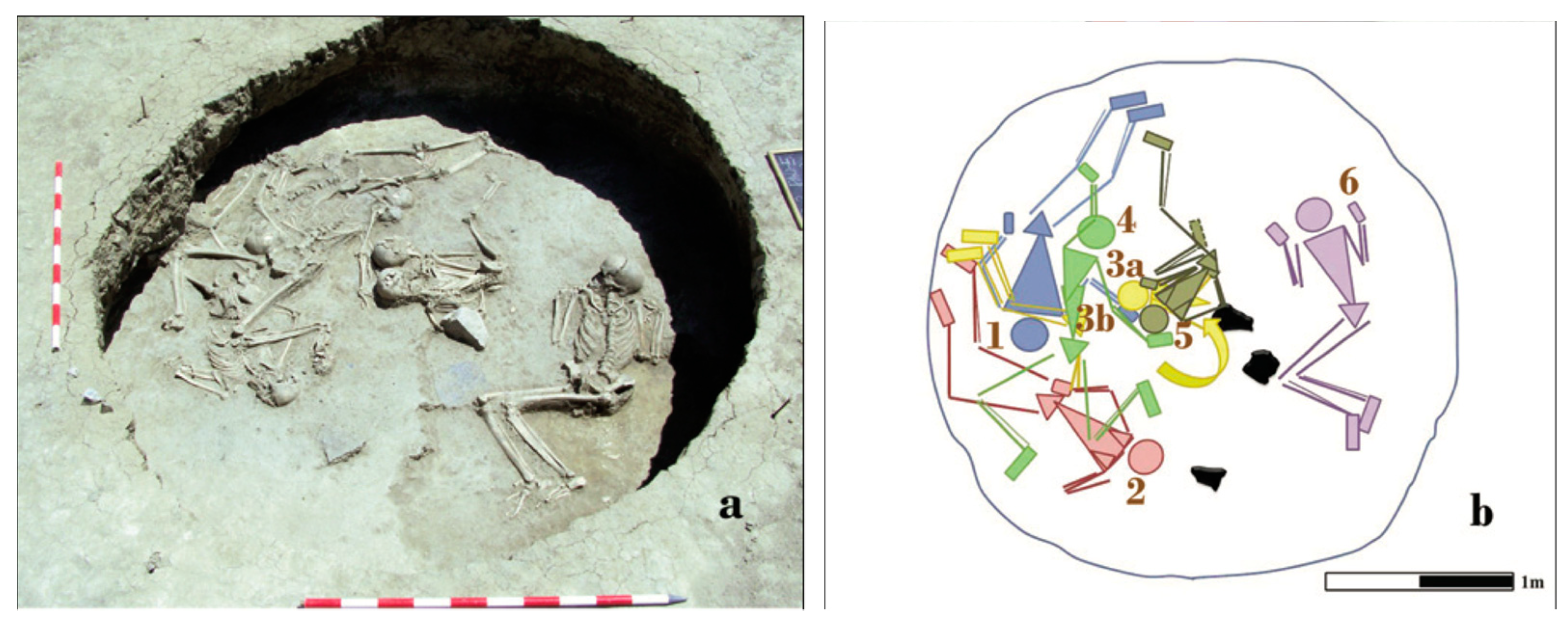 Ancient Separation Process The Study of Adoption in Archaeological Human Remains