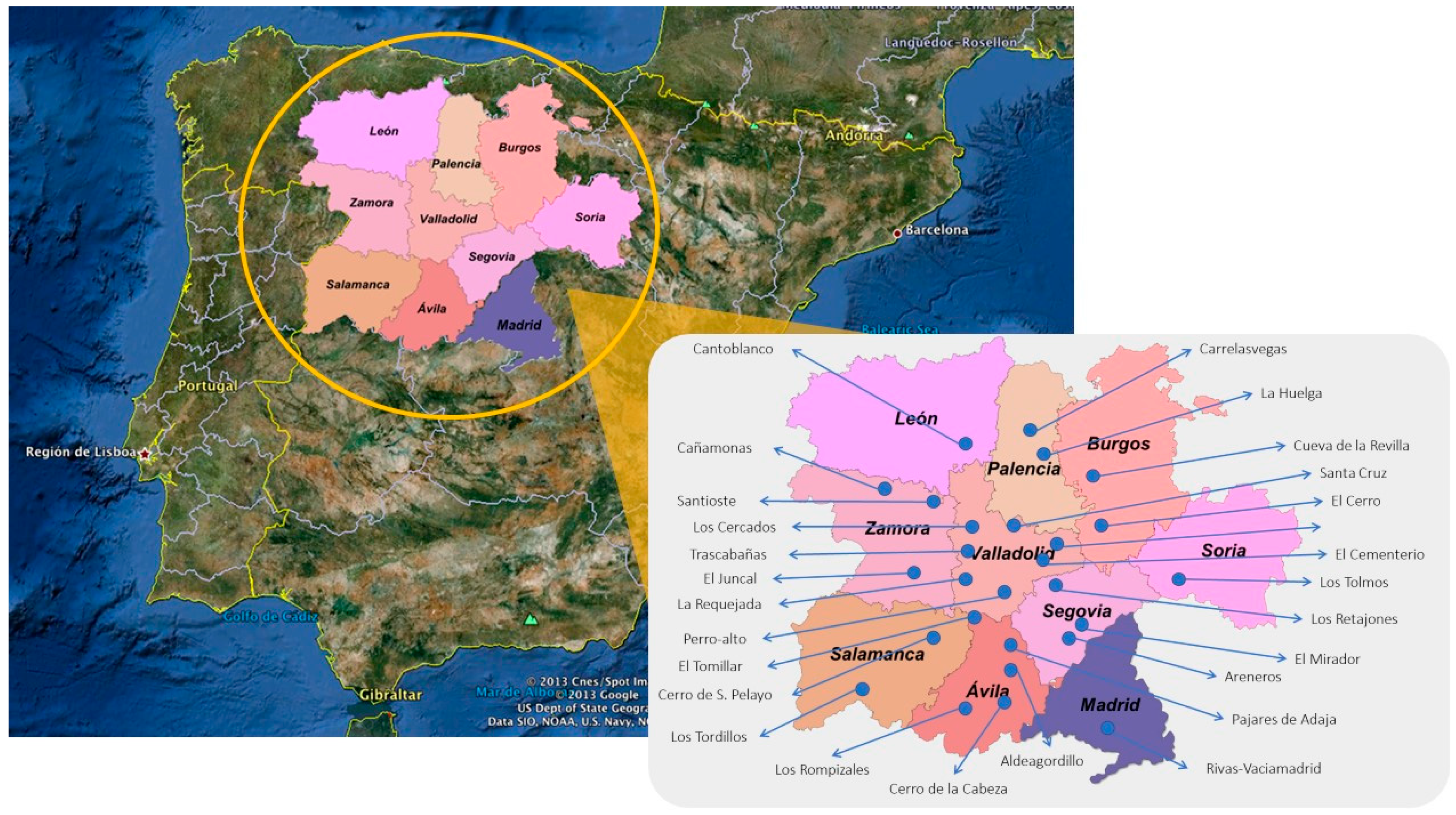 Genealogy 07 00051 g001