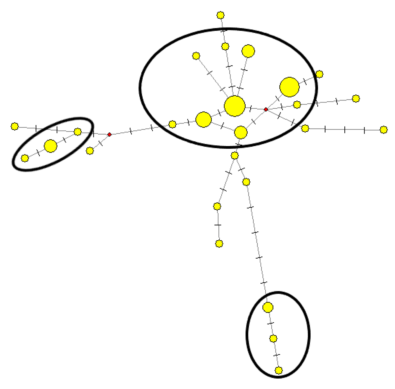 Genealogy 07 00052 g003