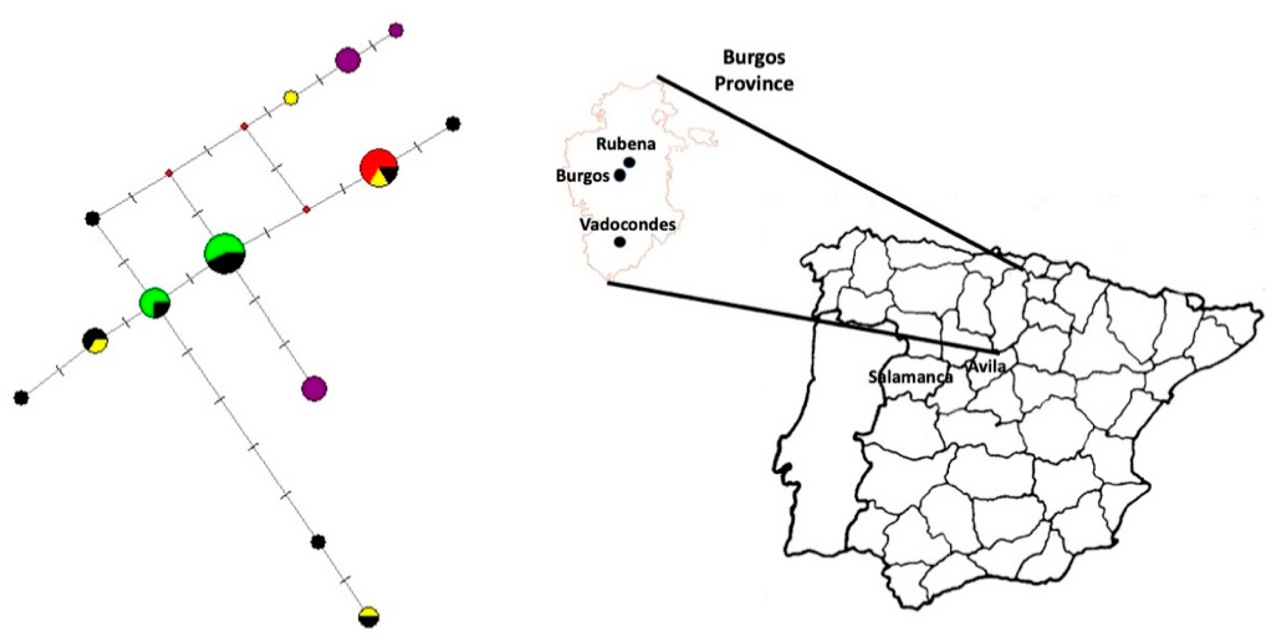 Genealogy 07 00052 g004