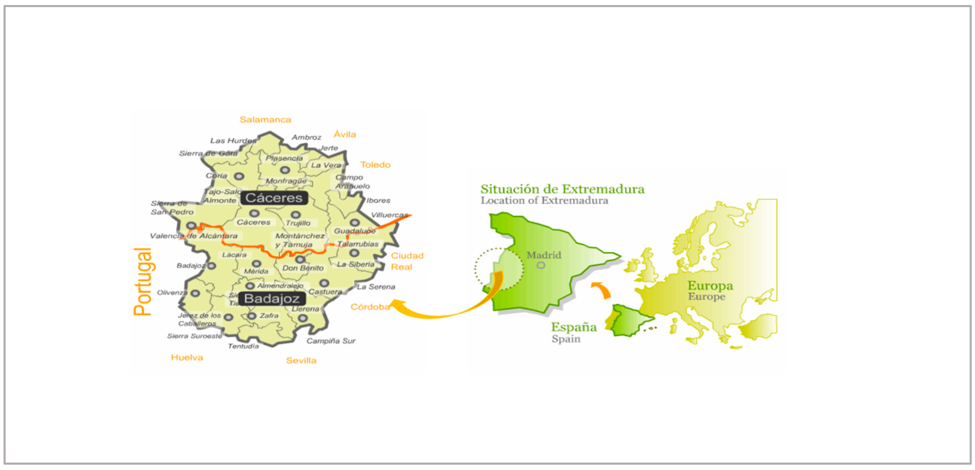 Genealogy 07 00063 g002