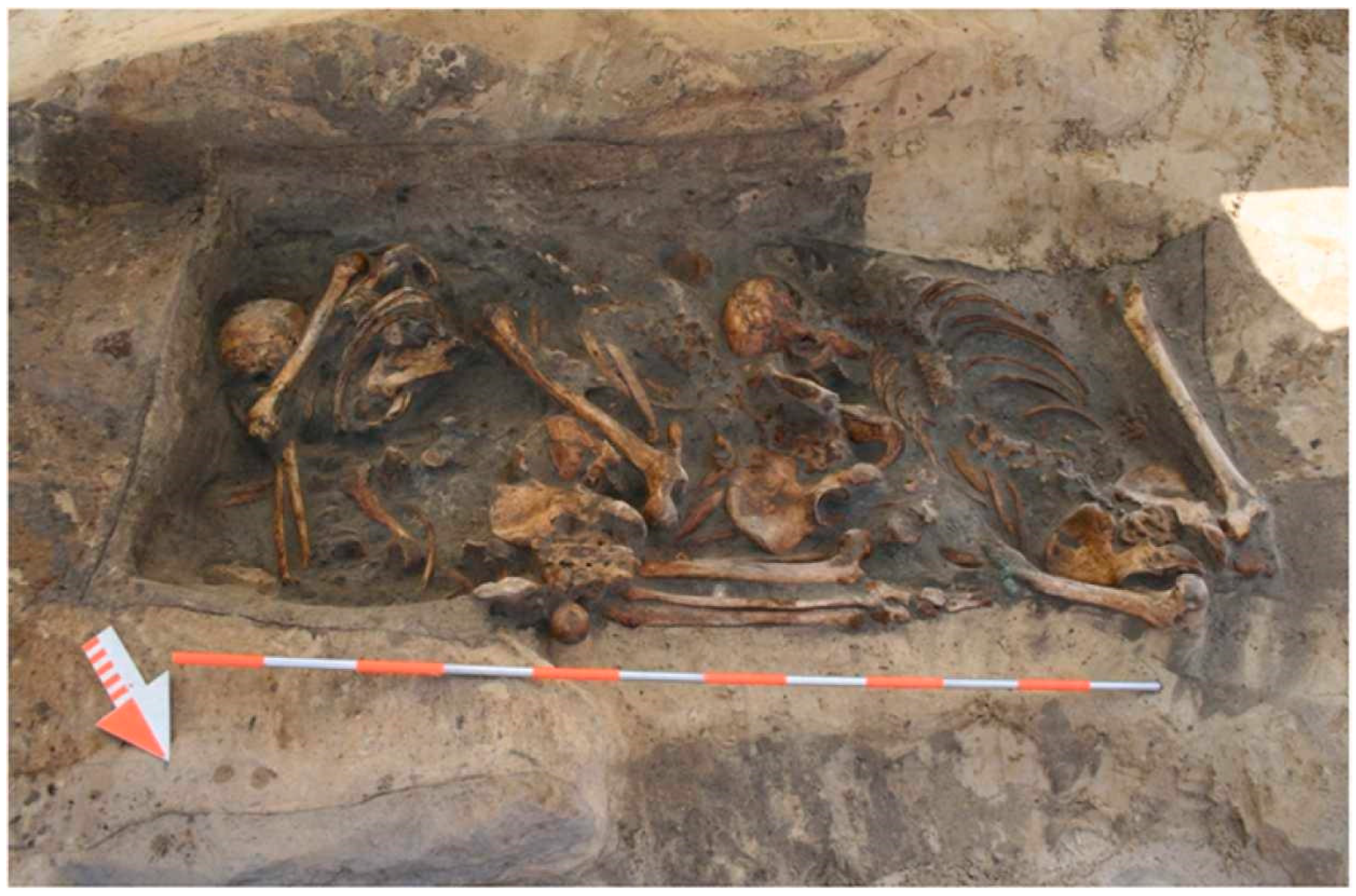 Genealogy 08 00020 g001