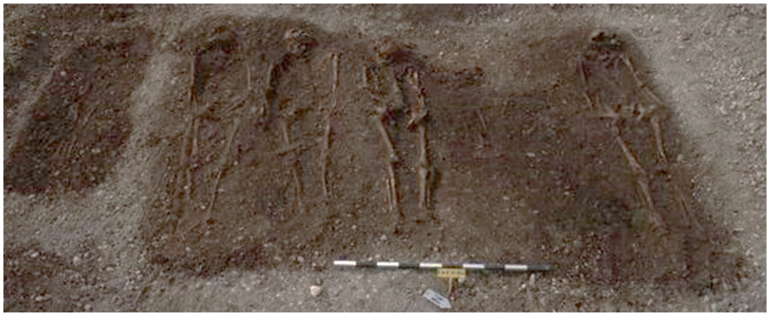 Genealogy 08 00020 g002