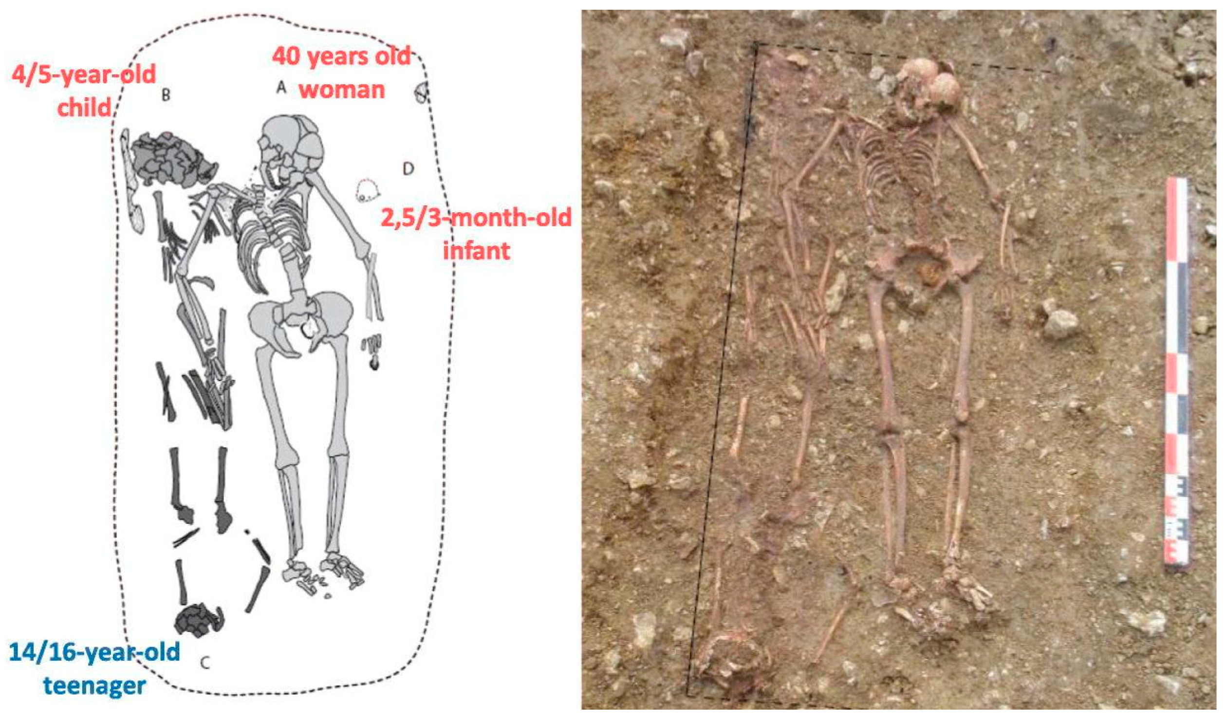 Genealogy 08 00020 g004