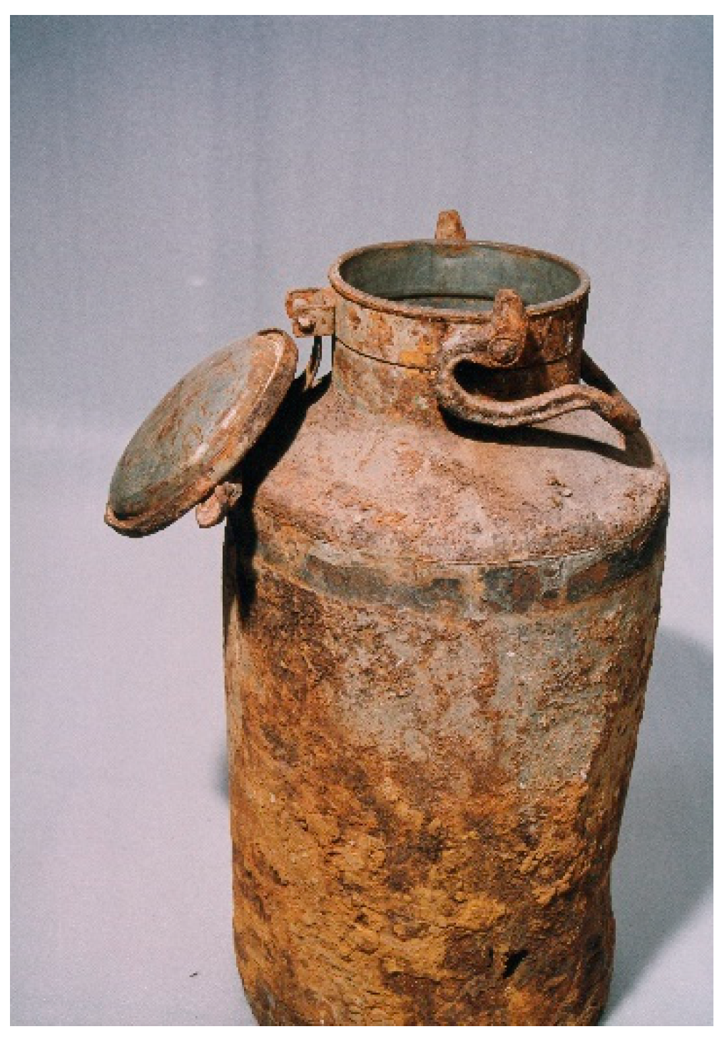 Genealogy 08 00053 g002