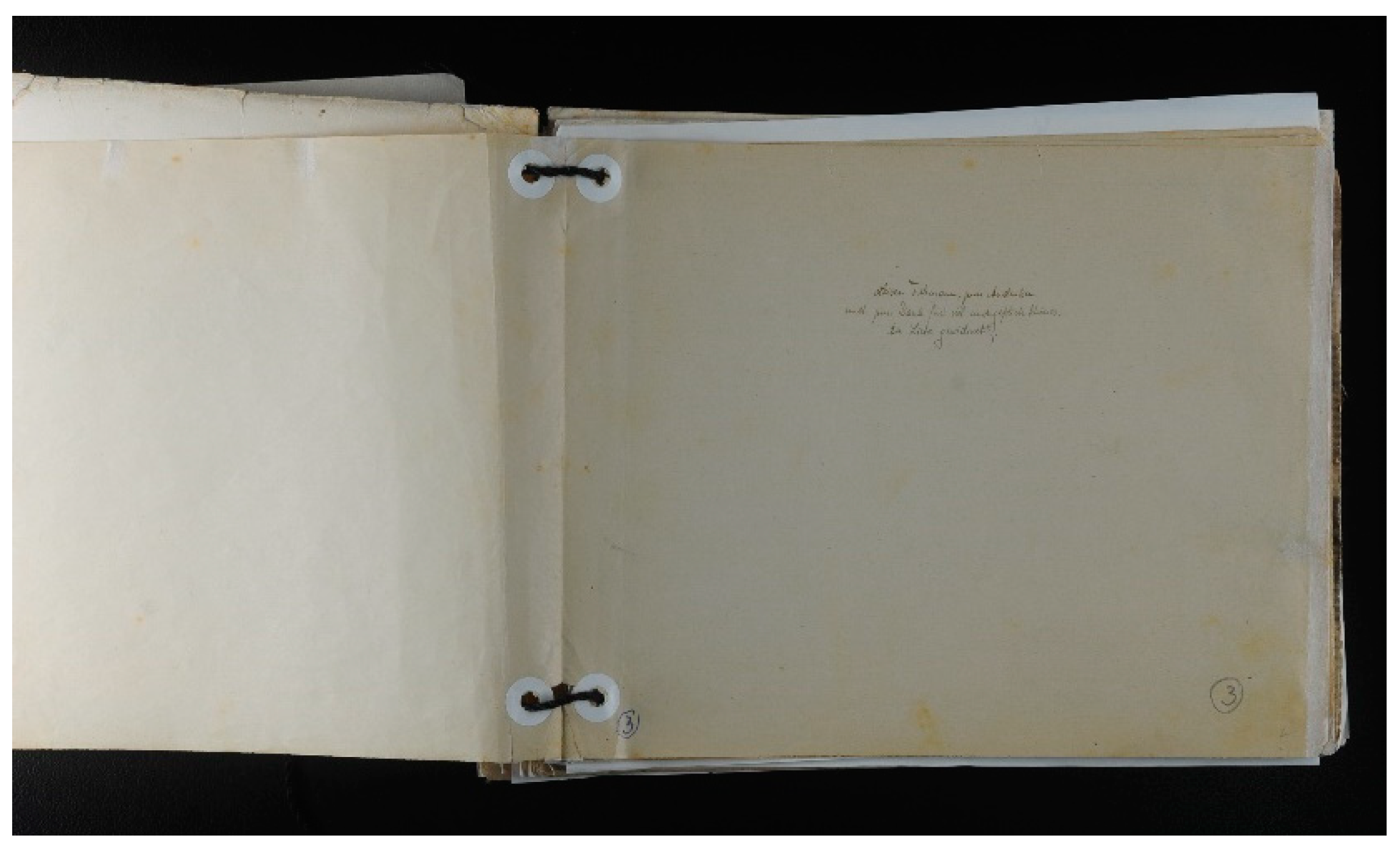 Genealogy 08 00053 g004