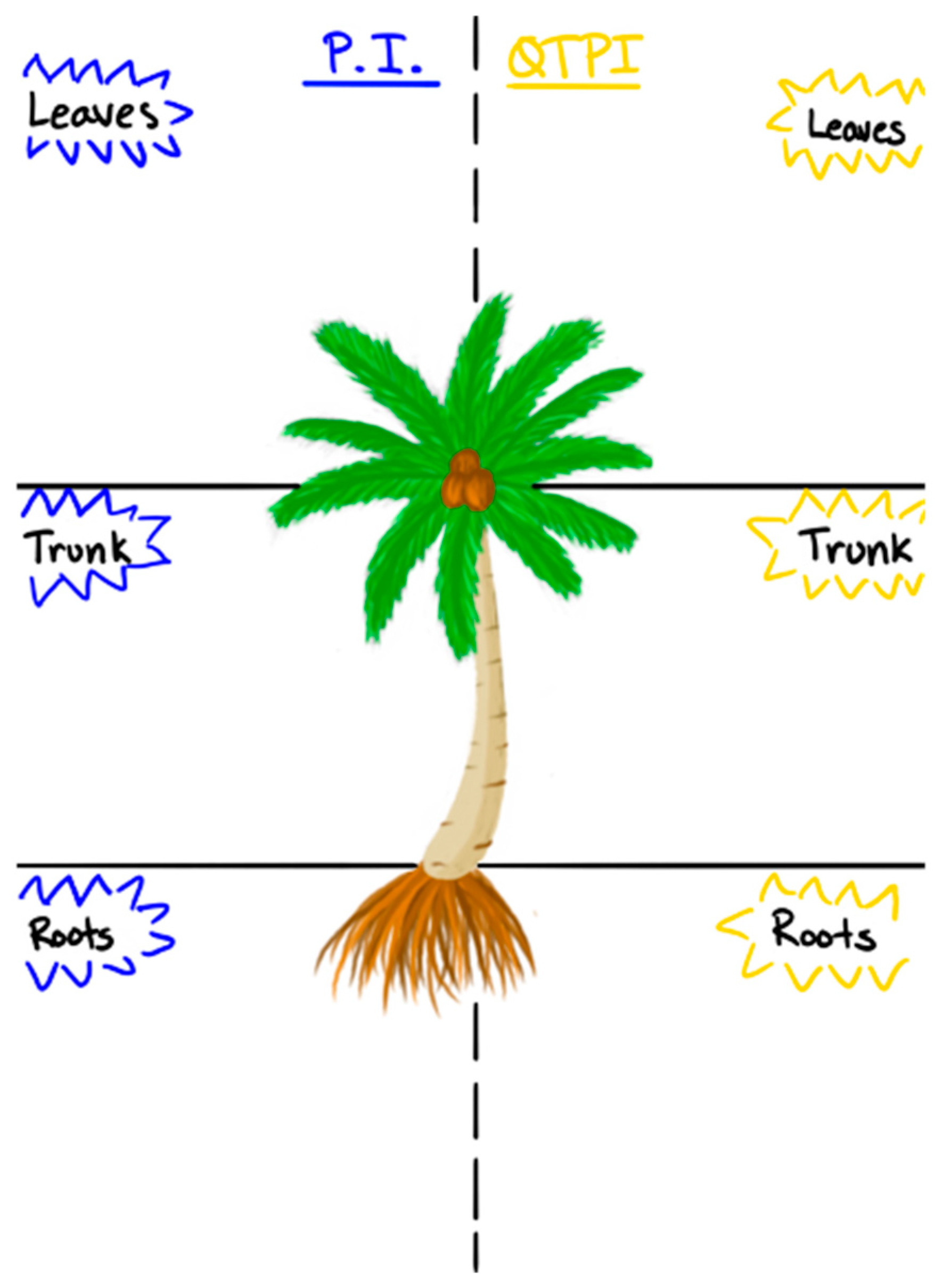 Genealogy 08 00074 g001