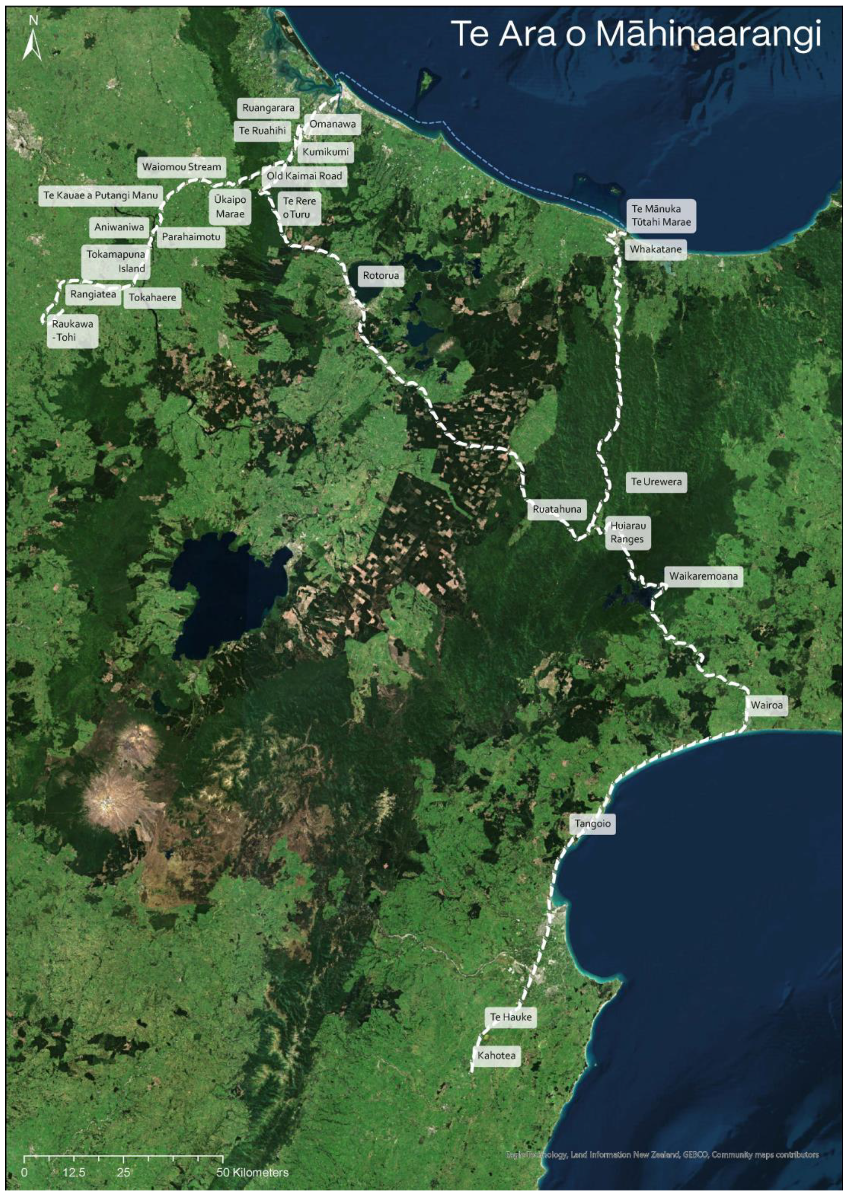 Genealogy 08 00104 g001
