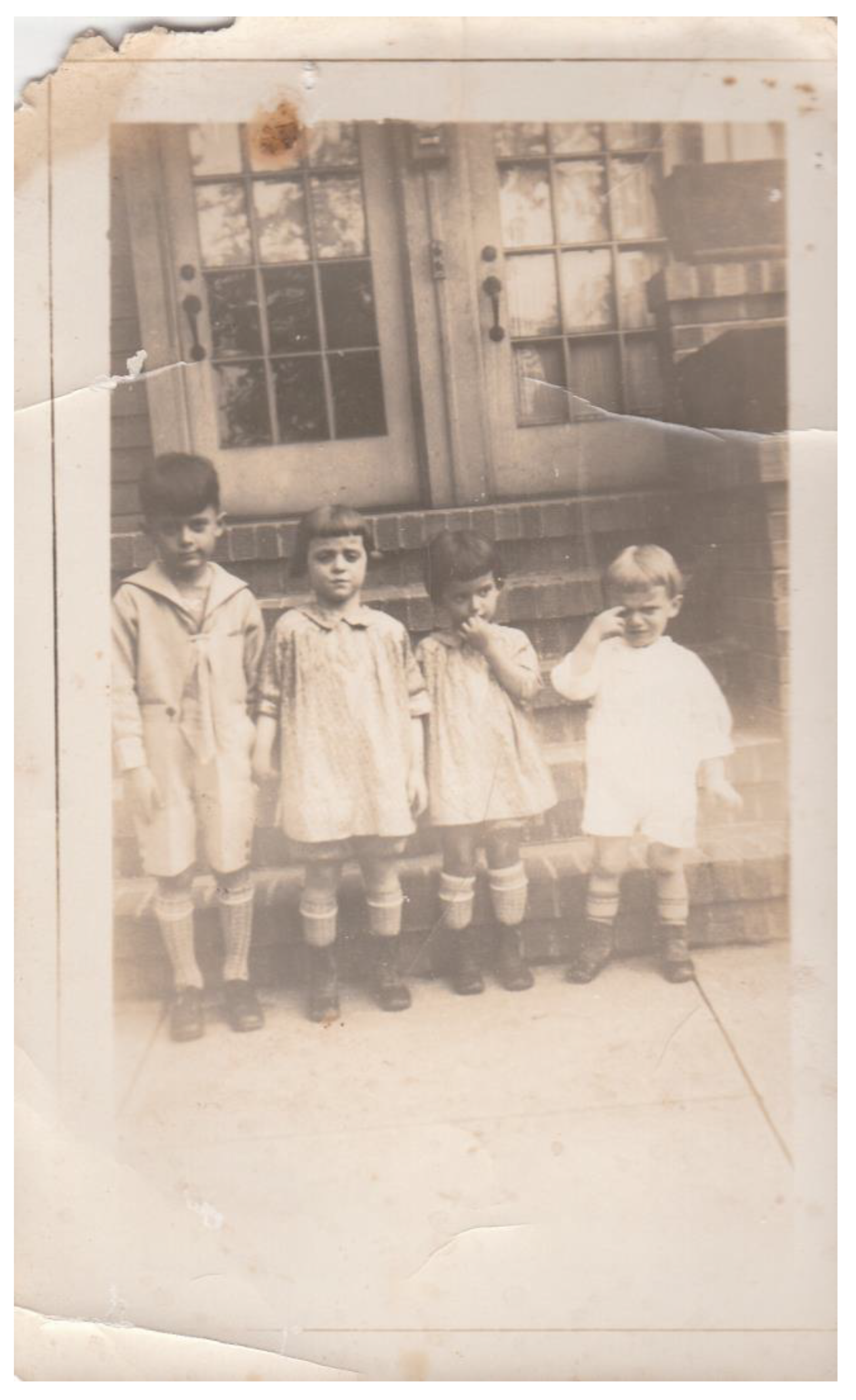 Genealogy 08 00113 g001