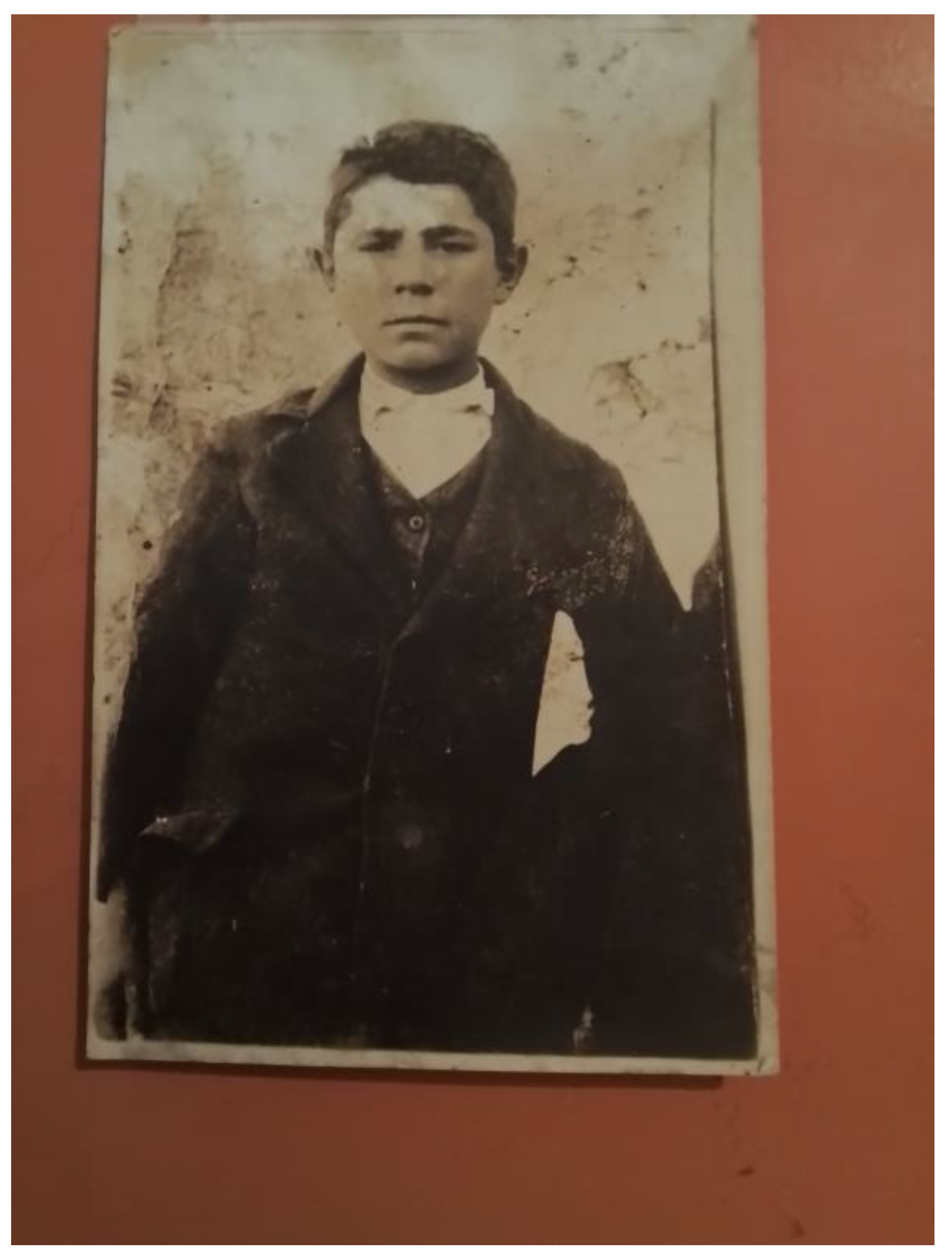 Genealogy 08 00113 g003