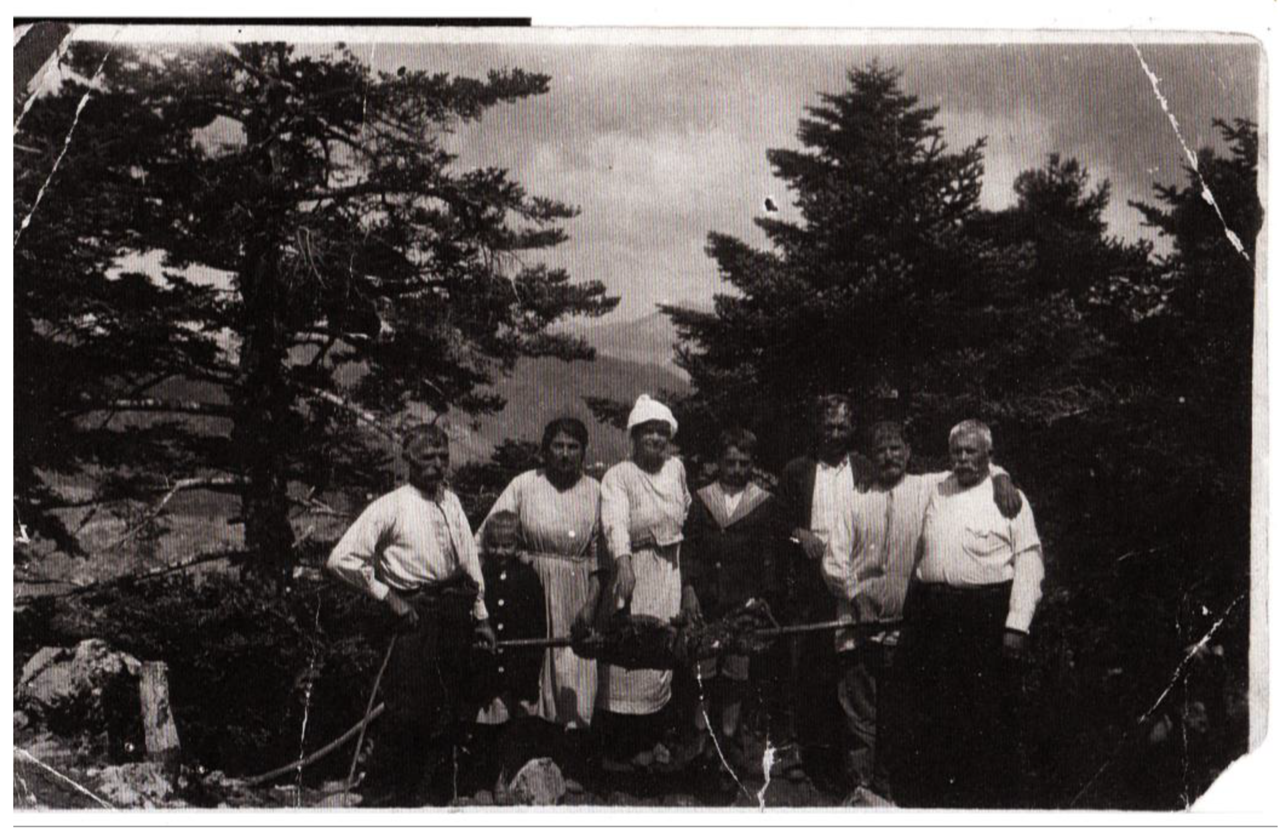 Genealogy 08 00113 g013