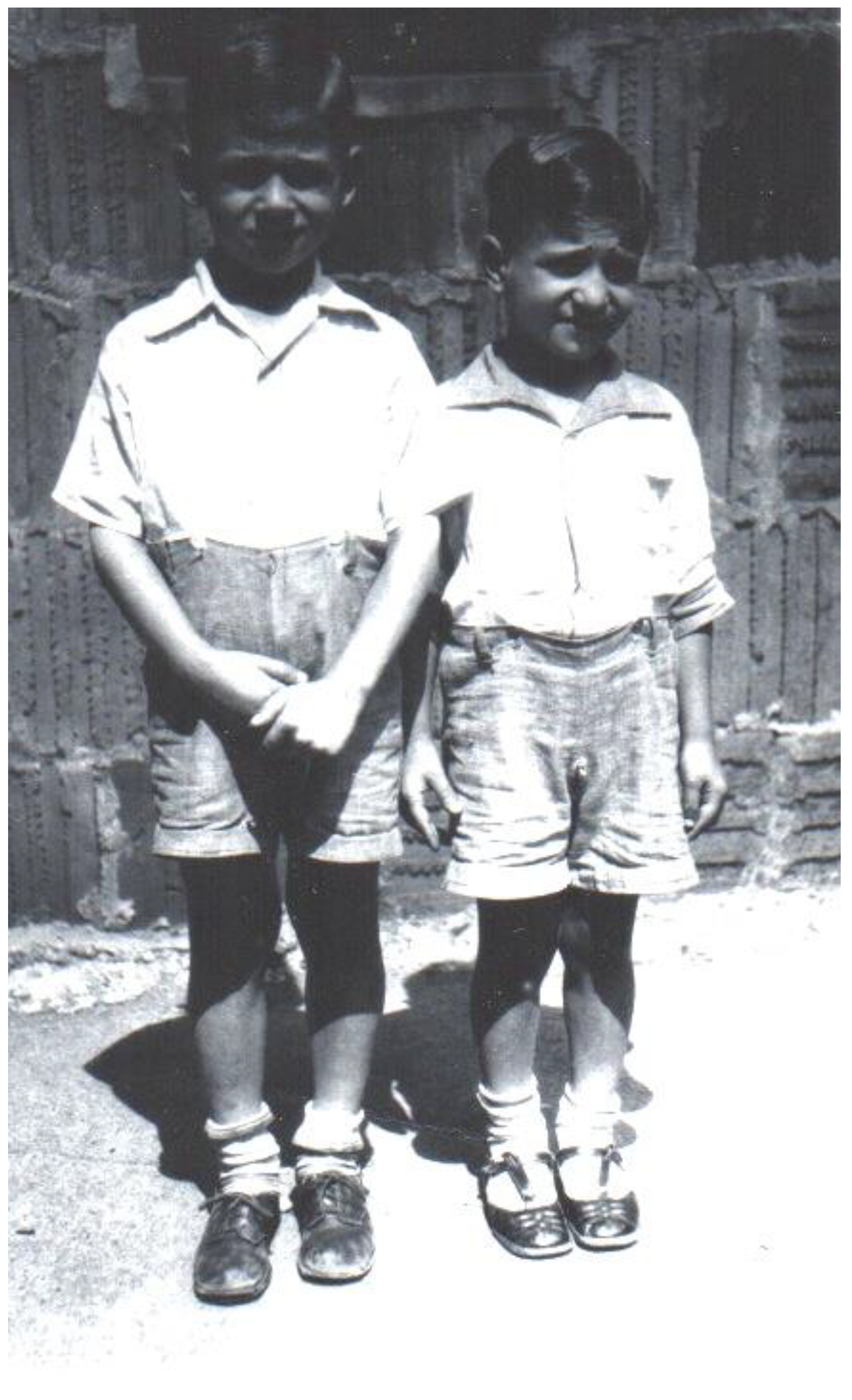 Genealogy 08 00113 g020