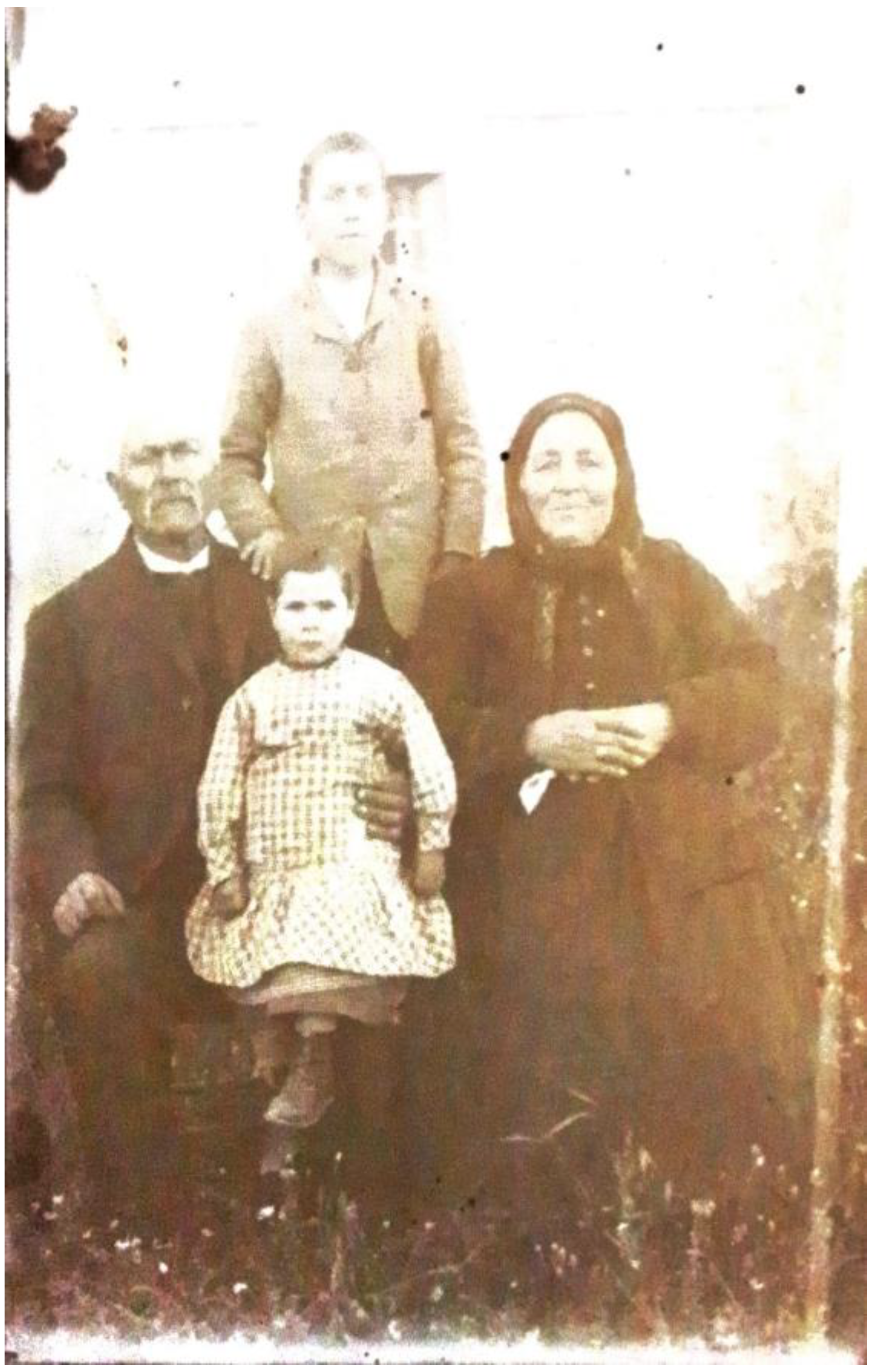 Genealogy 08 00113 g021