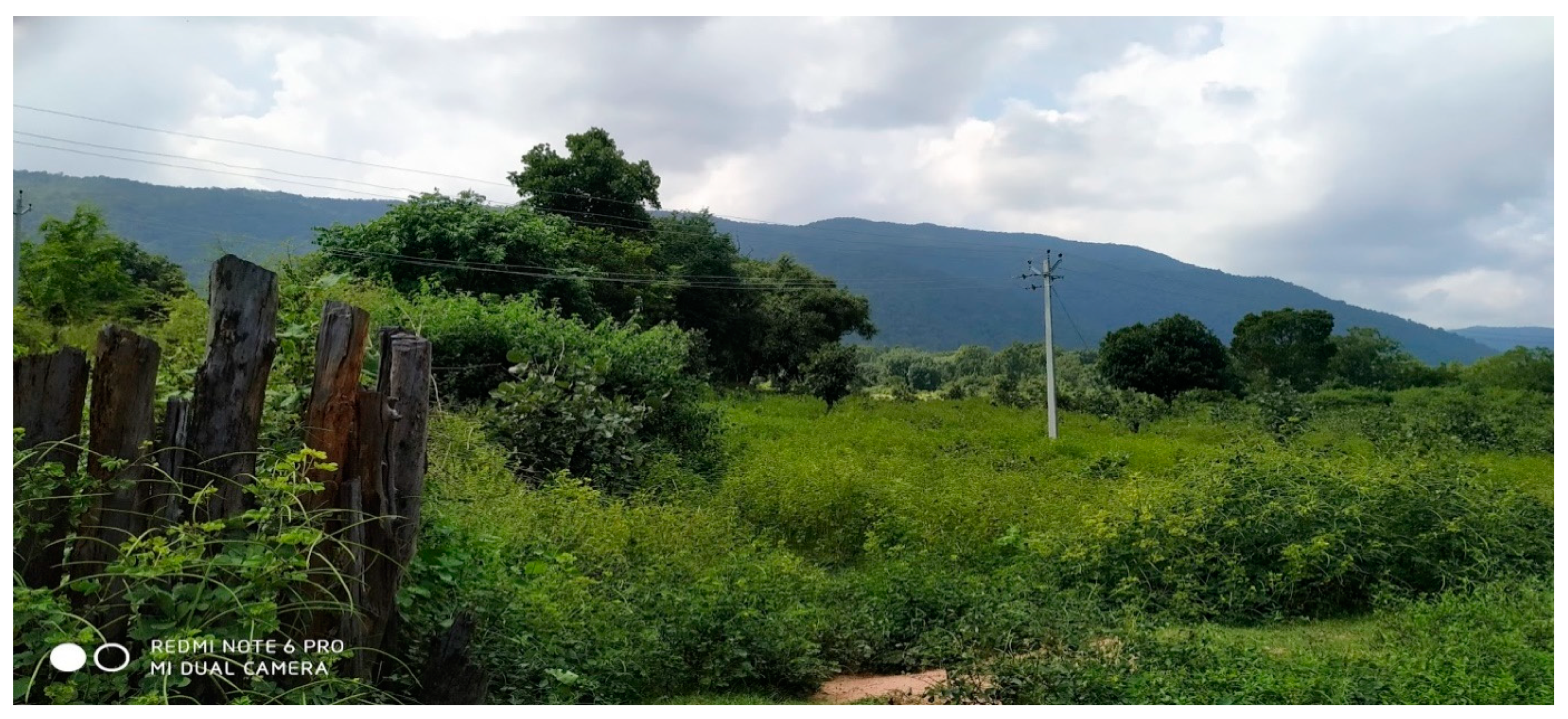 Genealogy 08 00130 g003