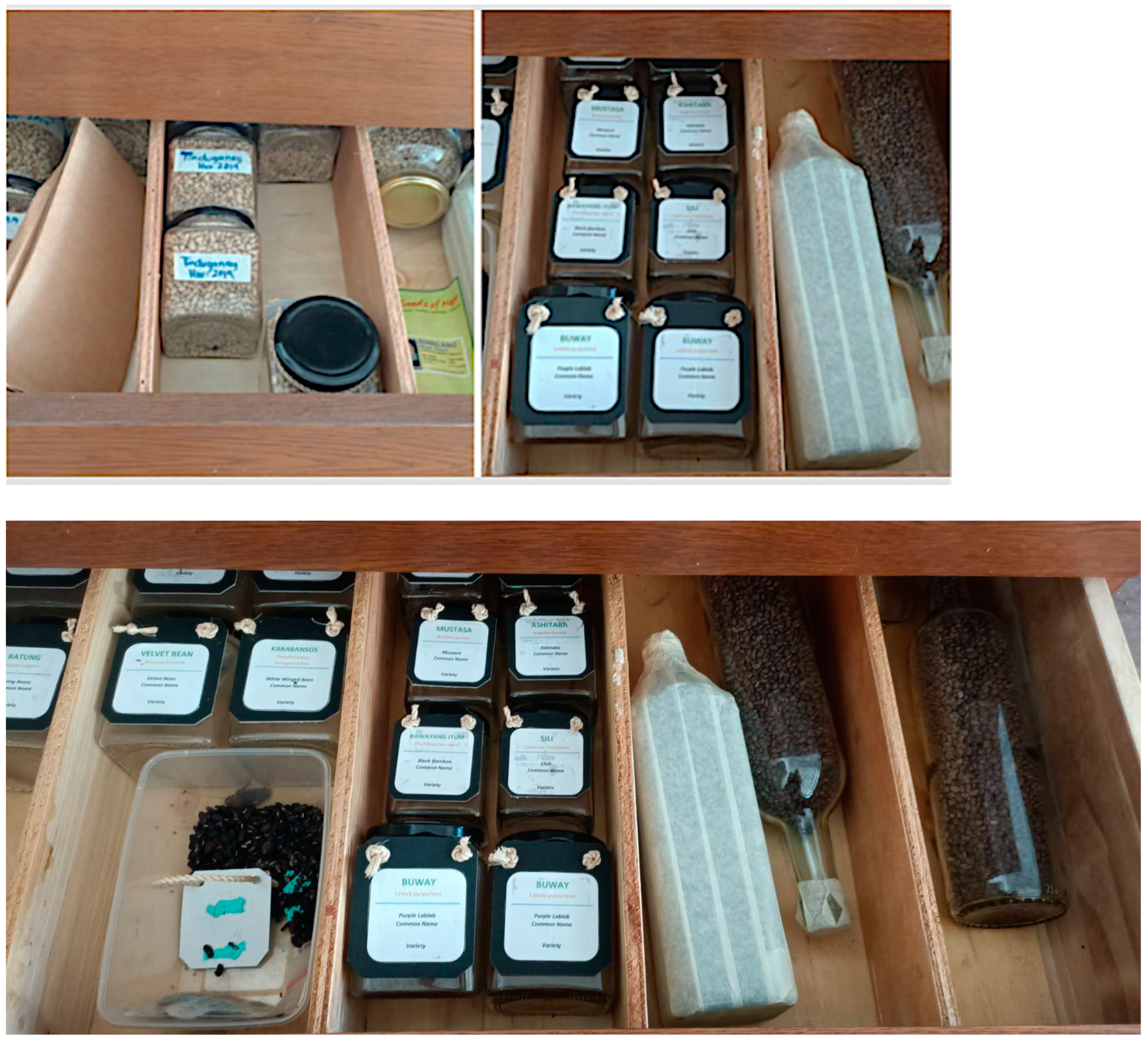 Genealogy 08 00138 g004