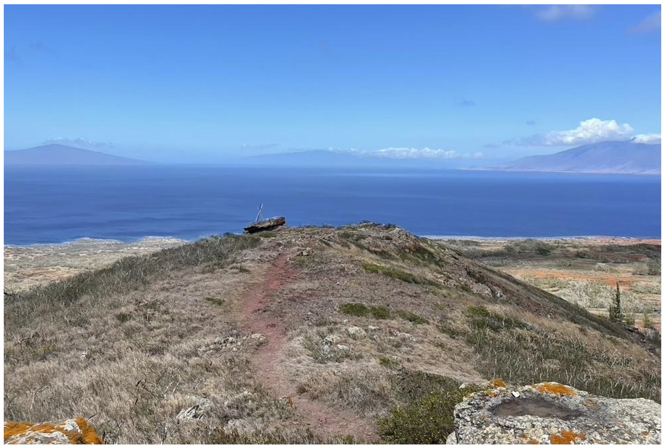 Genealogy 09 00002 g001