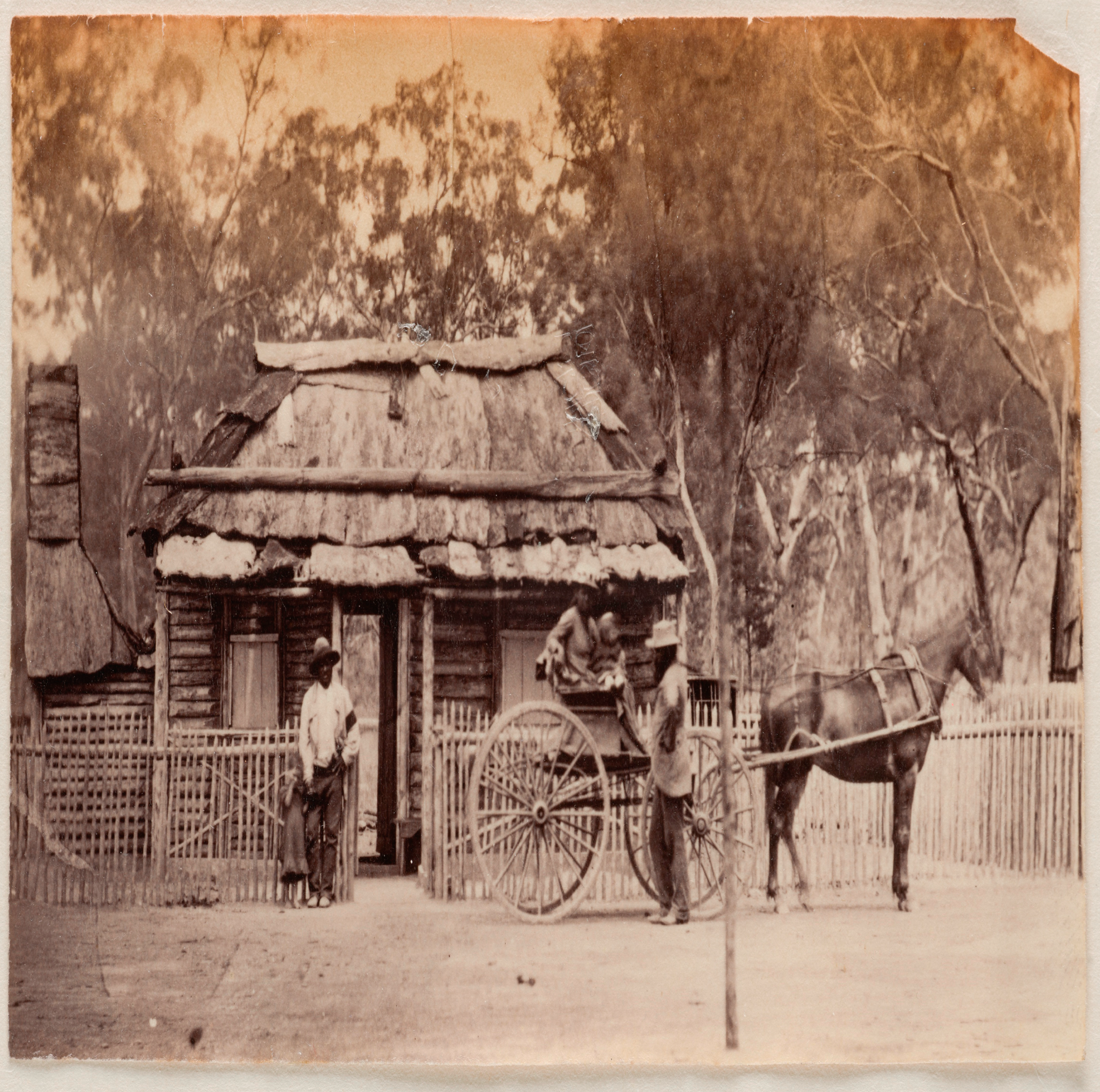 Genealogy 09 00005 g003