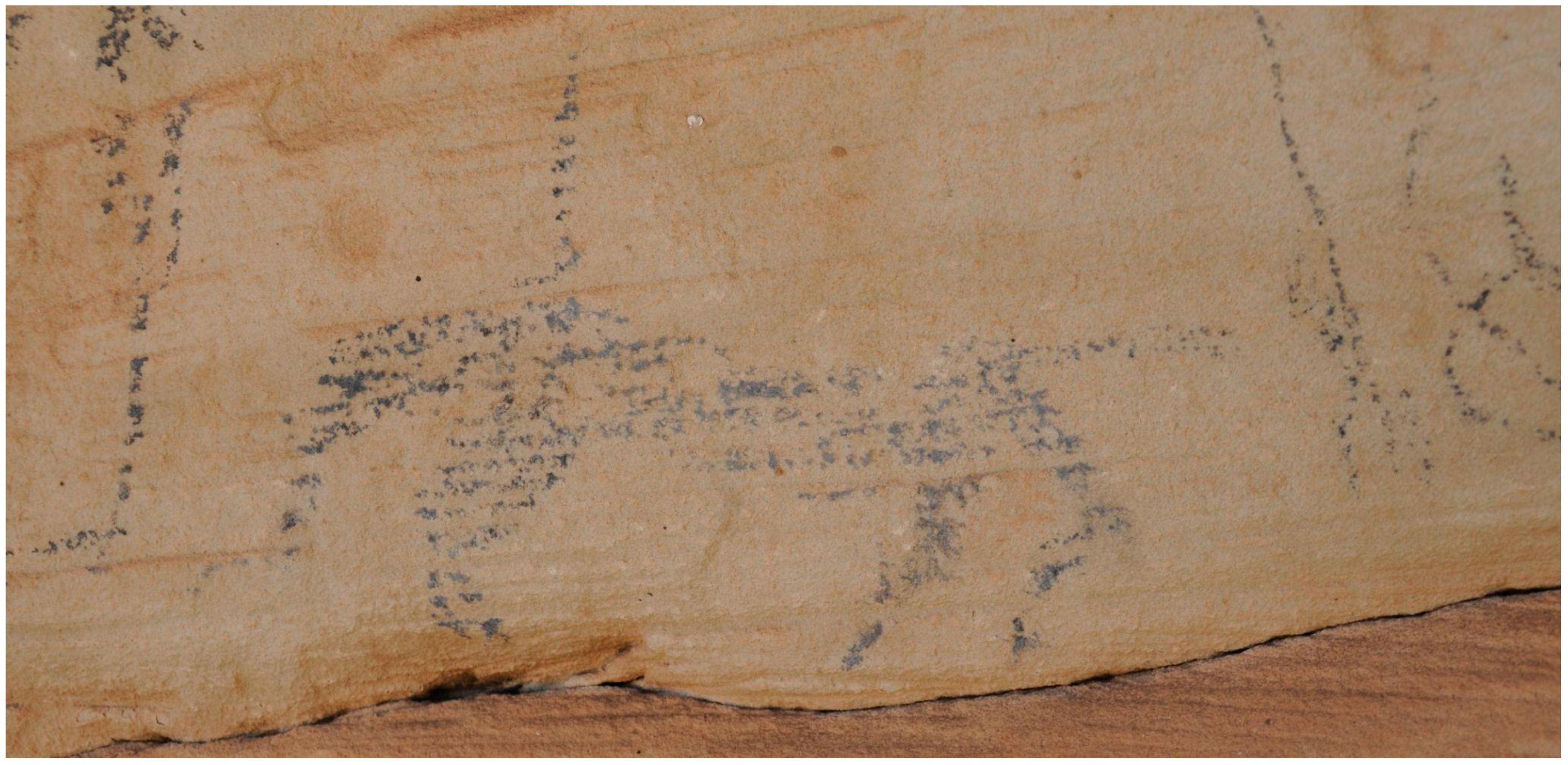 Genealogy 09 00042 g006