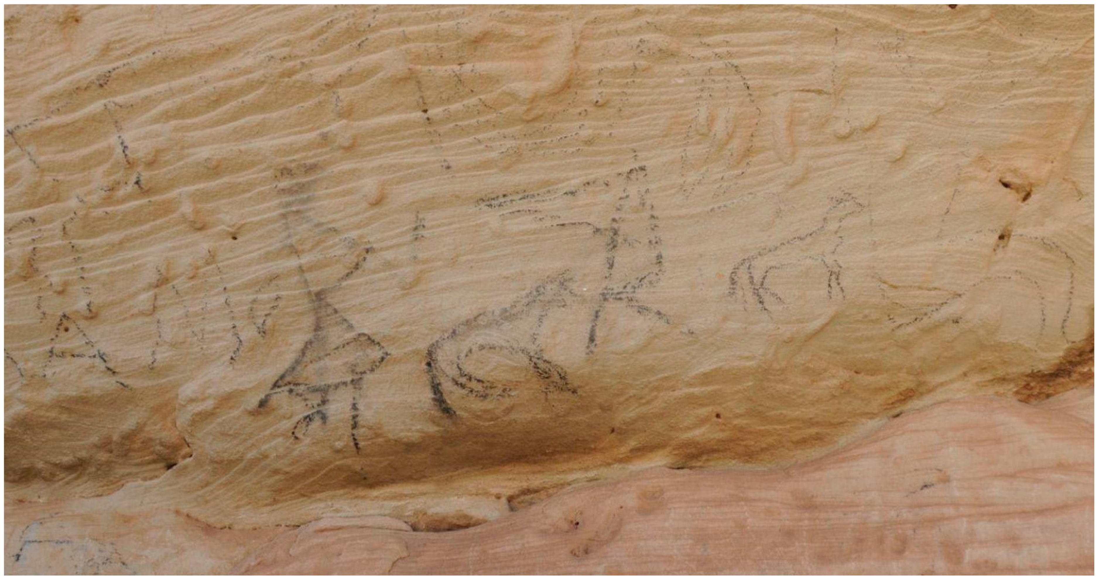 Genealogy 09 00042 g007