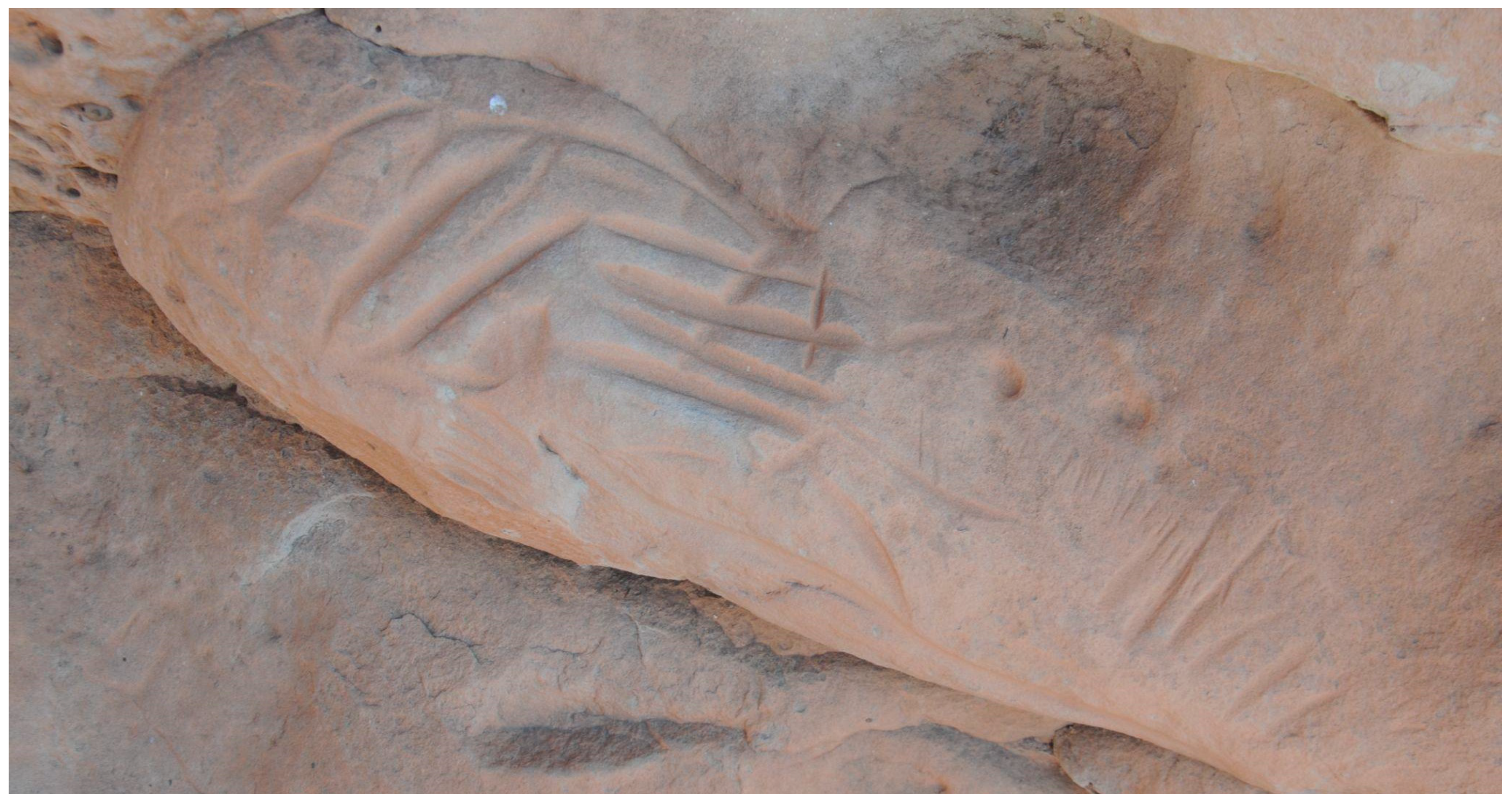 Genealogy 09 00042 g009