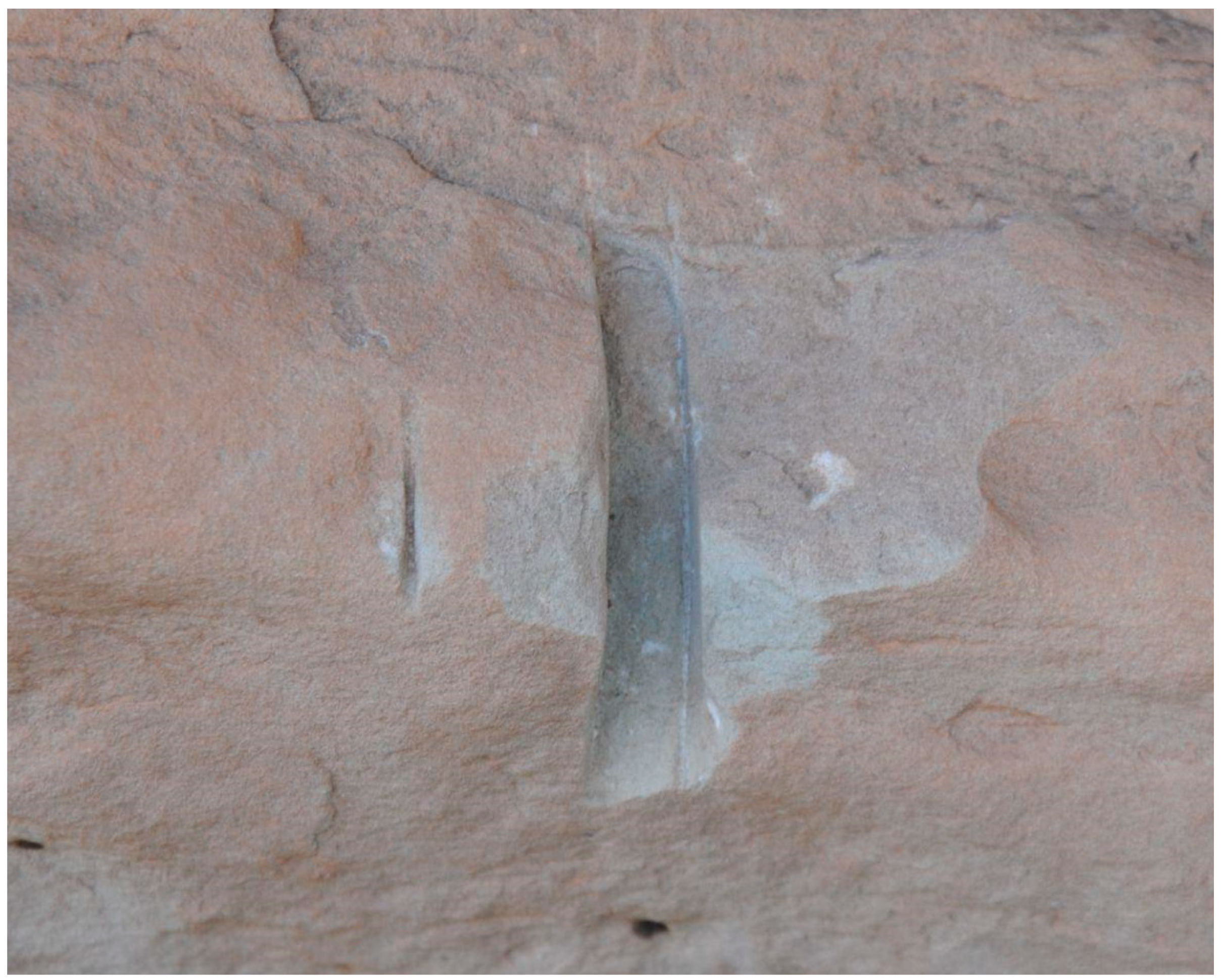 Genealogy 09 00042 g010