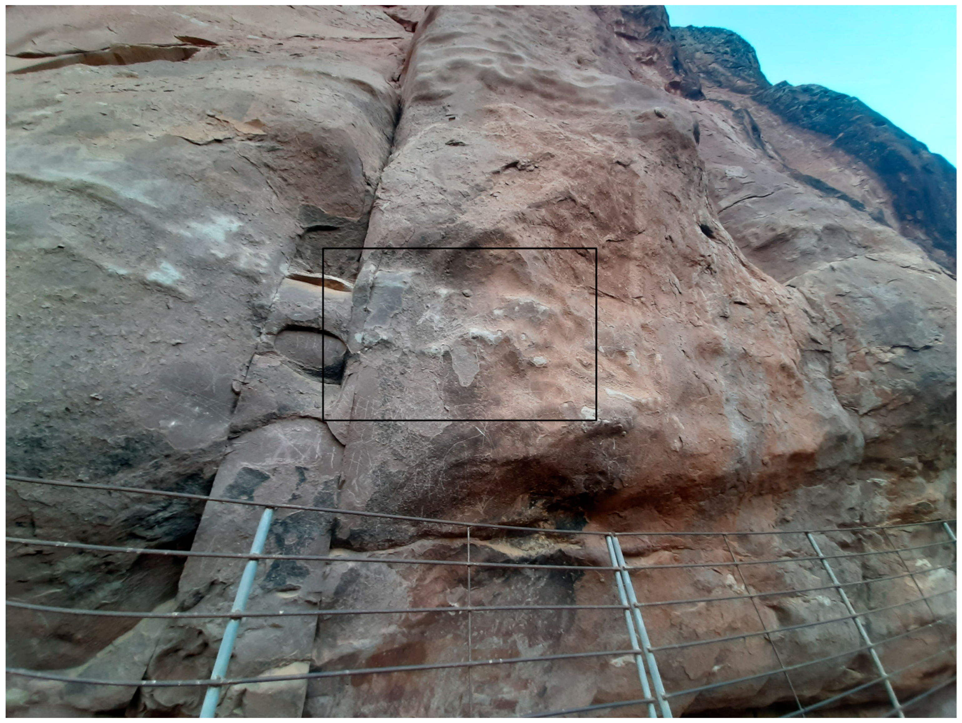 Genealogy 09 00042 g011