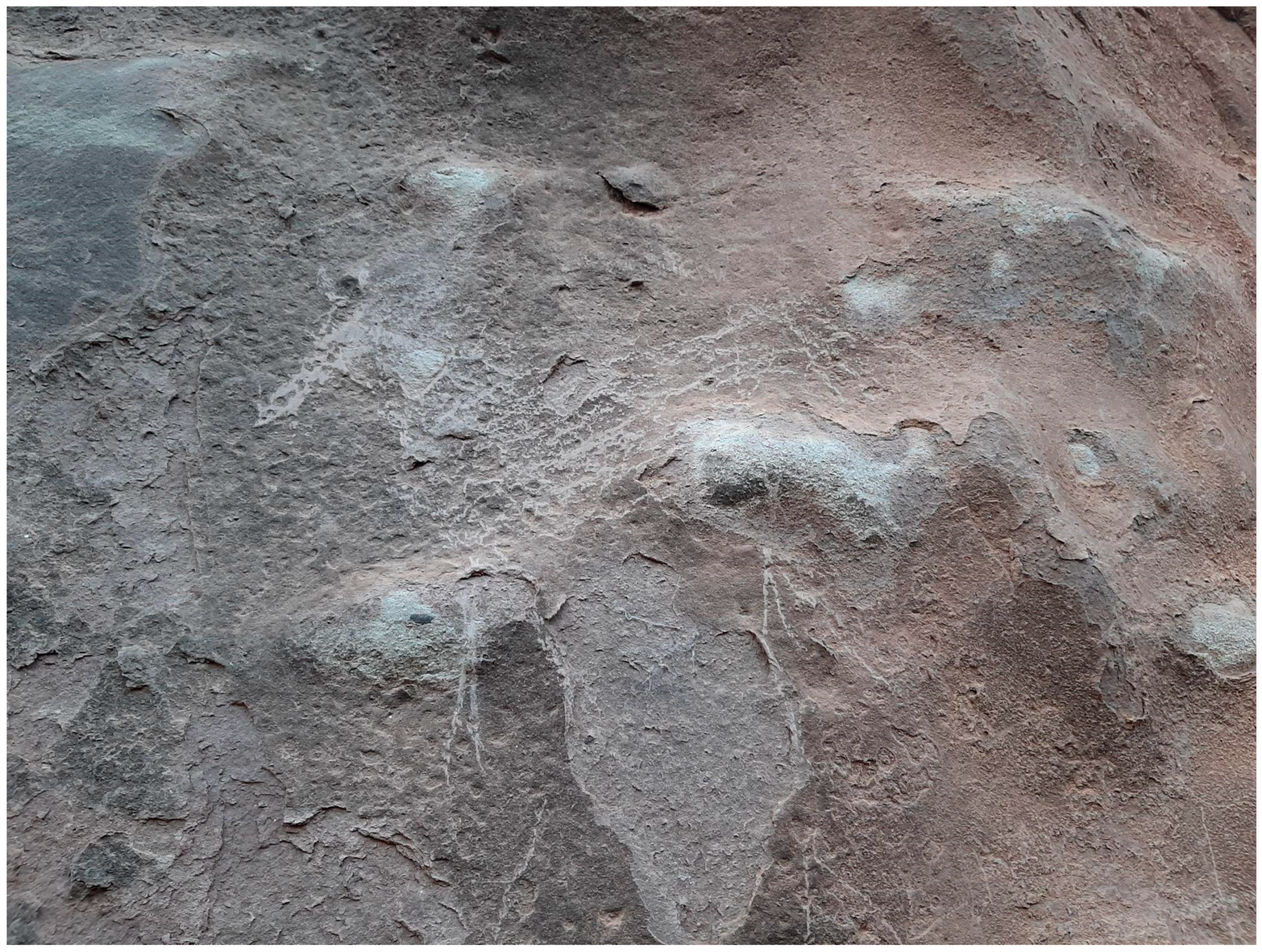 Genealogy 09 00042 g012