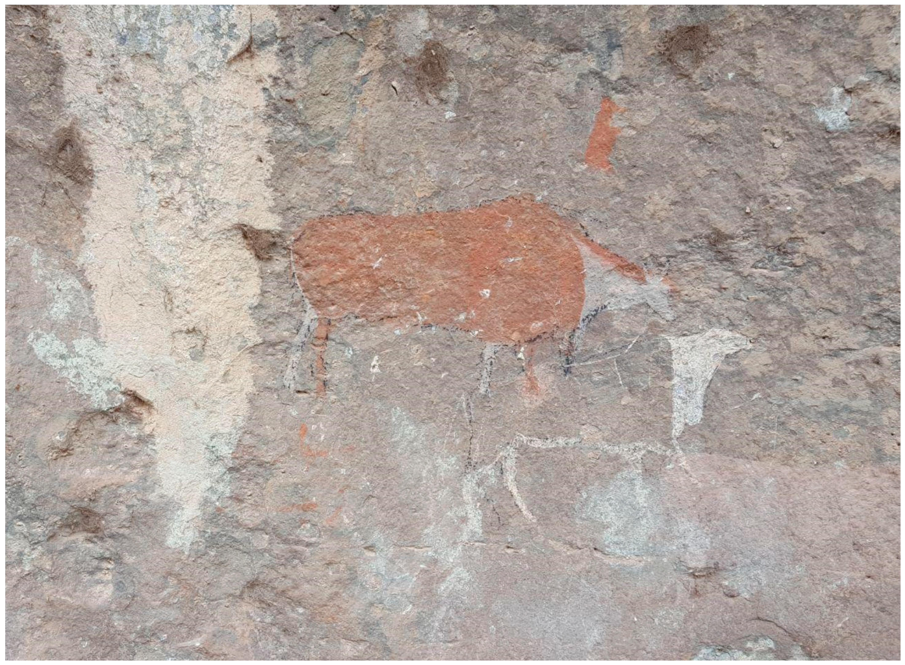 Genealogy 09 00042 g013