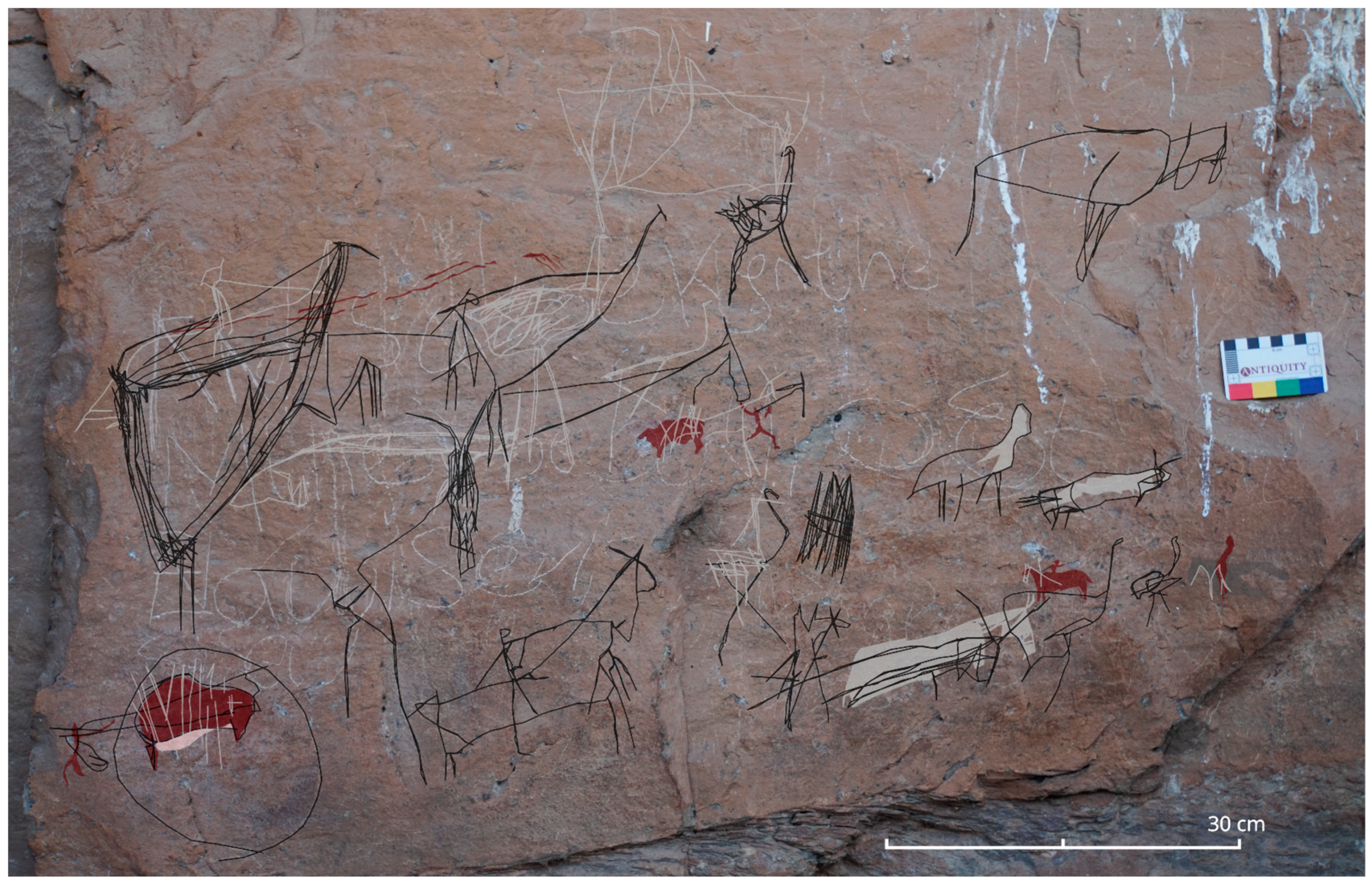 Genealogy 09 00042 g014