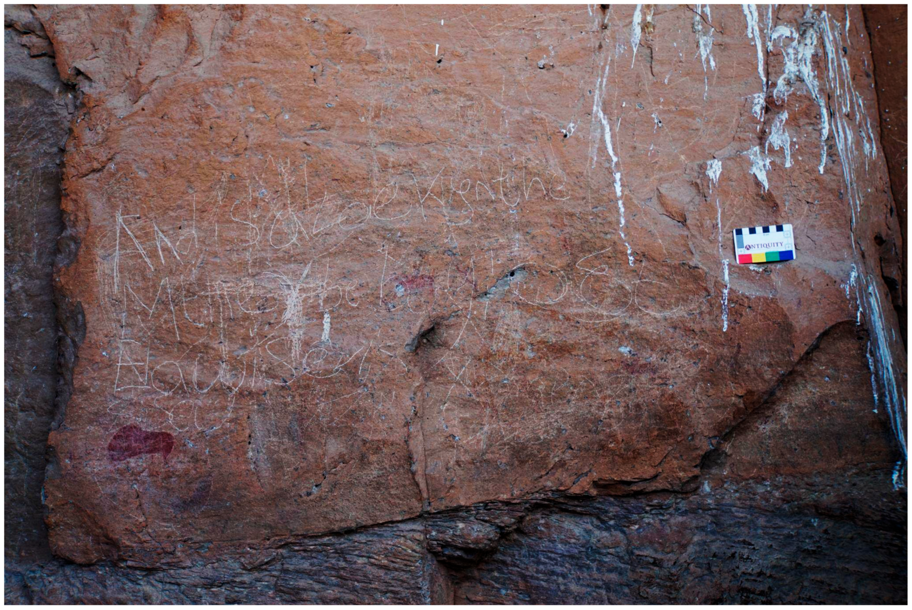 Genealogy 09 00042 g015