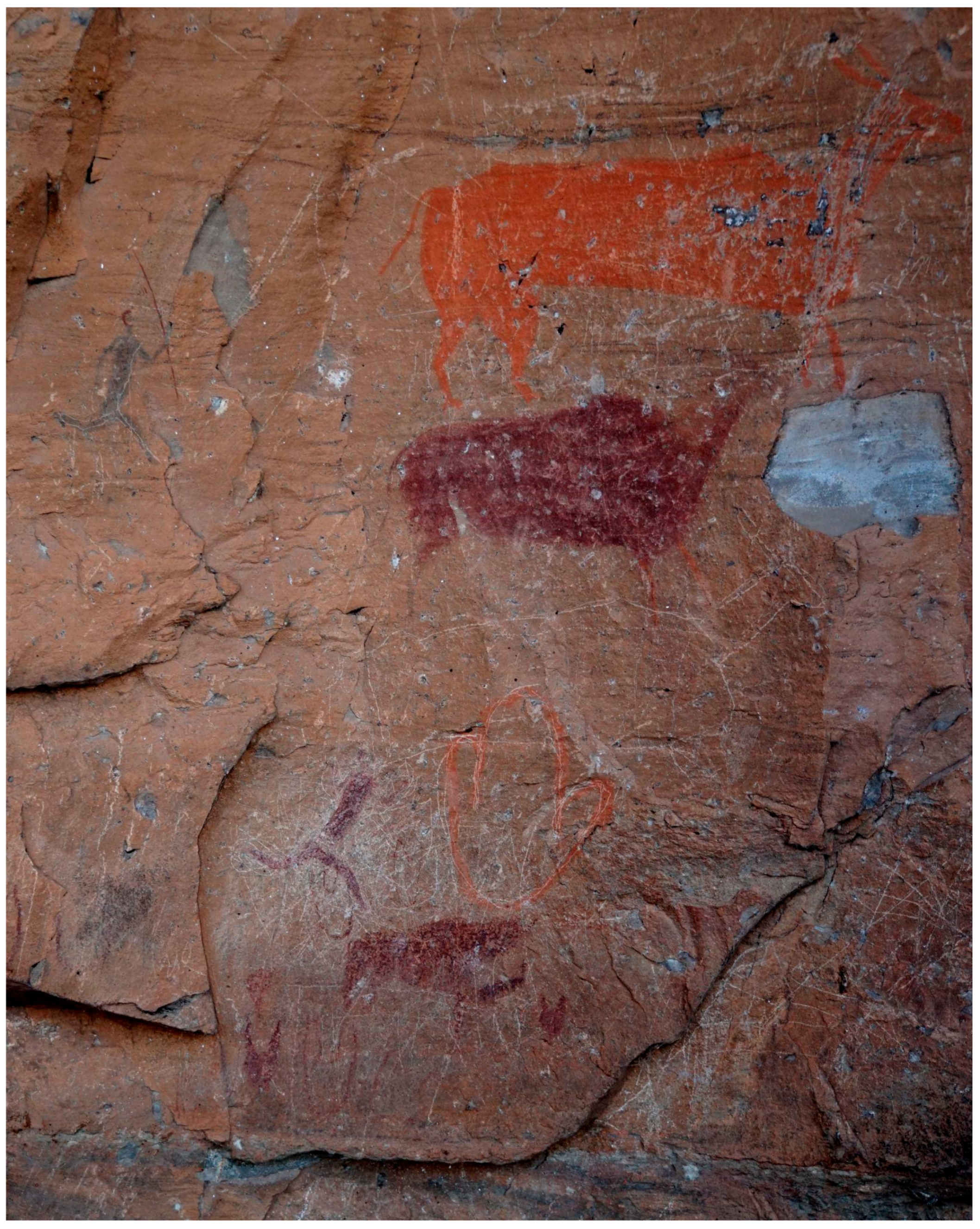 Genealogy 09 00042 g018