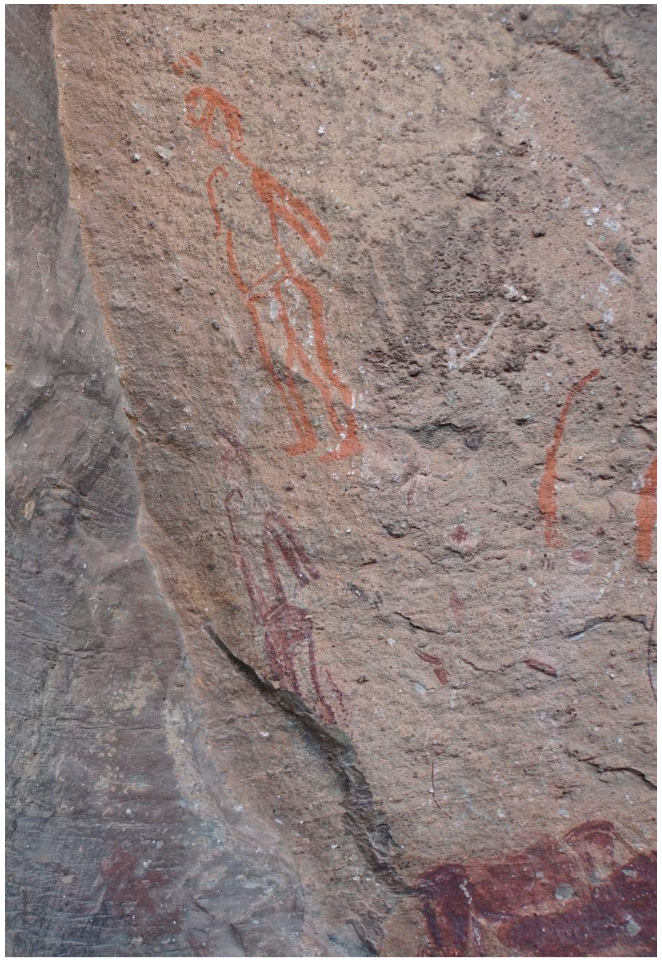 Genealogy 09 00042 g019