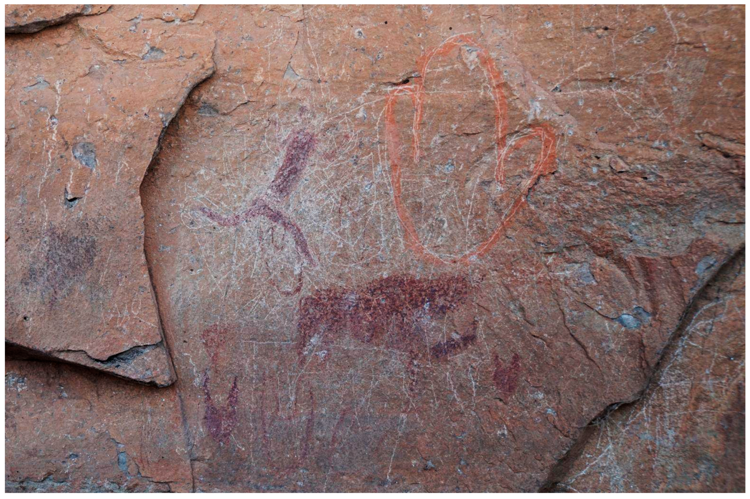 Genealogy 09 00042 g020