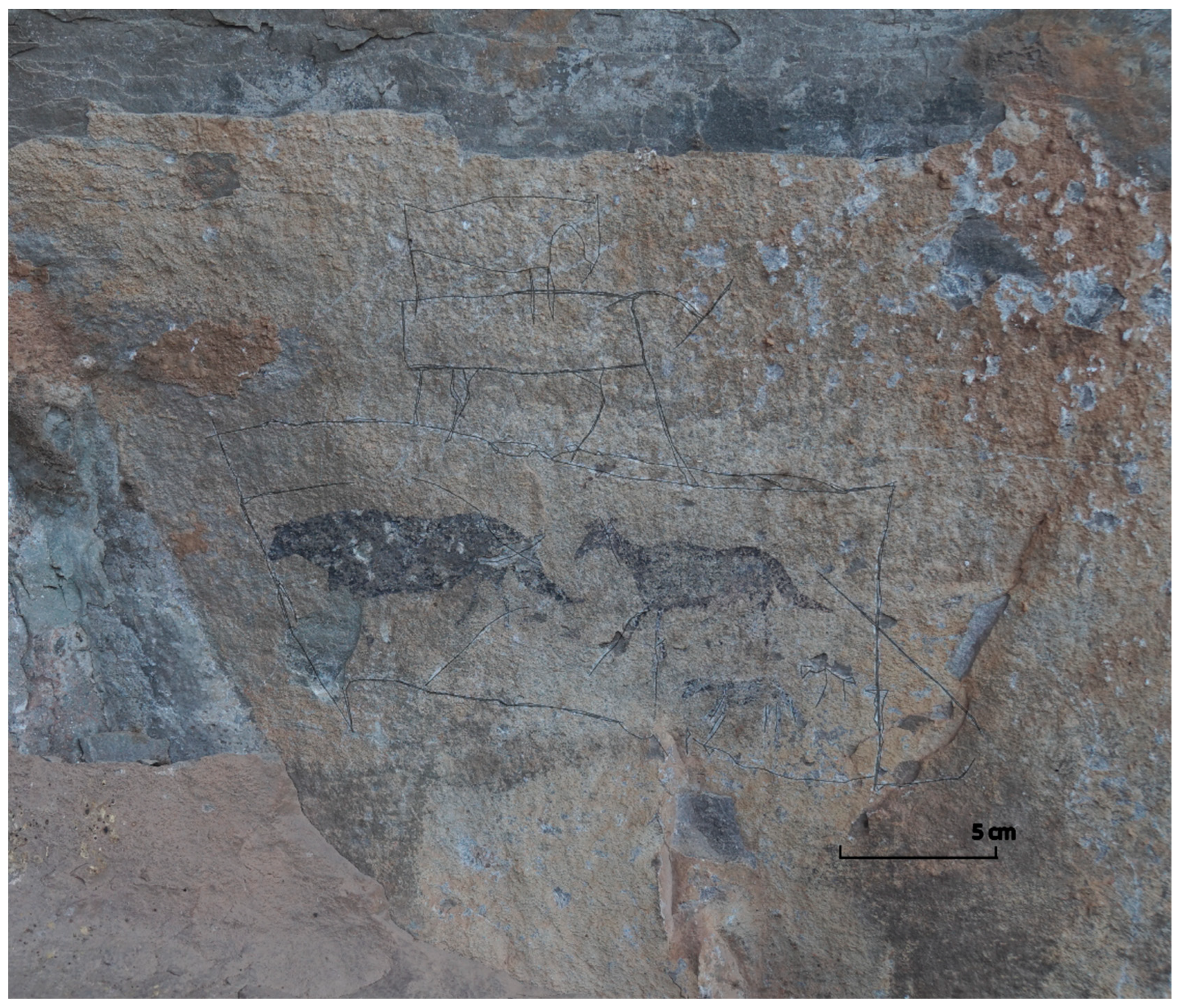 Genealogy 09 00042 g021