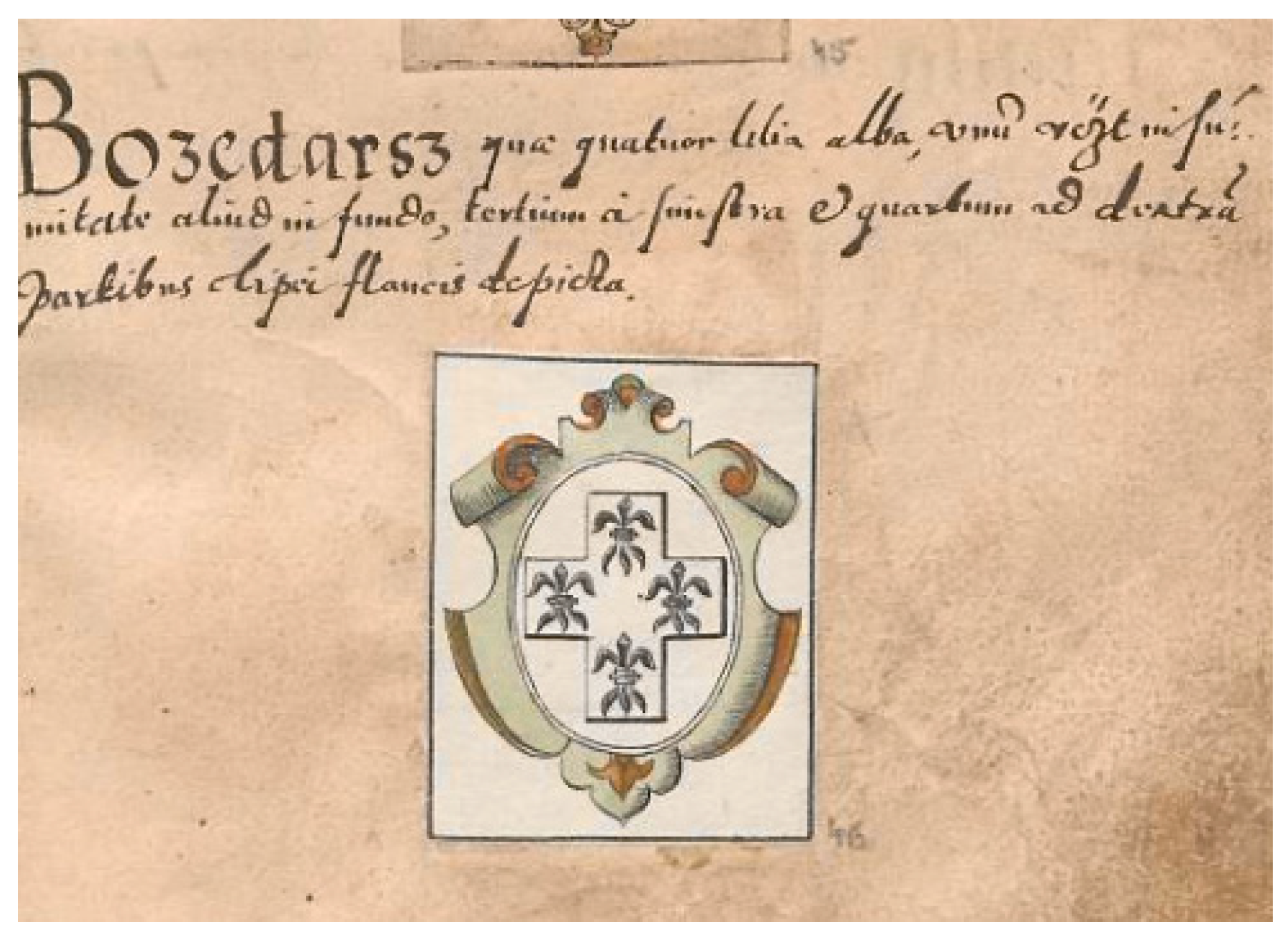 Genealogy 09 00151 g001