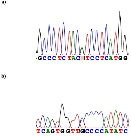 Genes 01 00023 g002 550