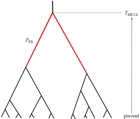 Genes 01 00124 g002 550