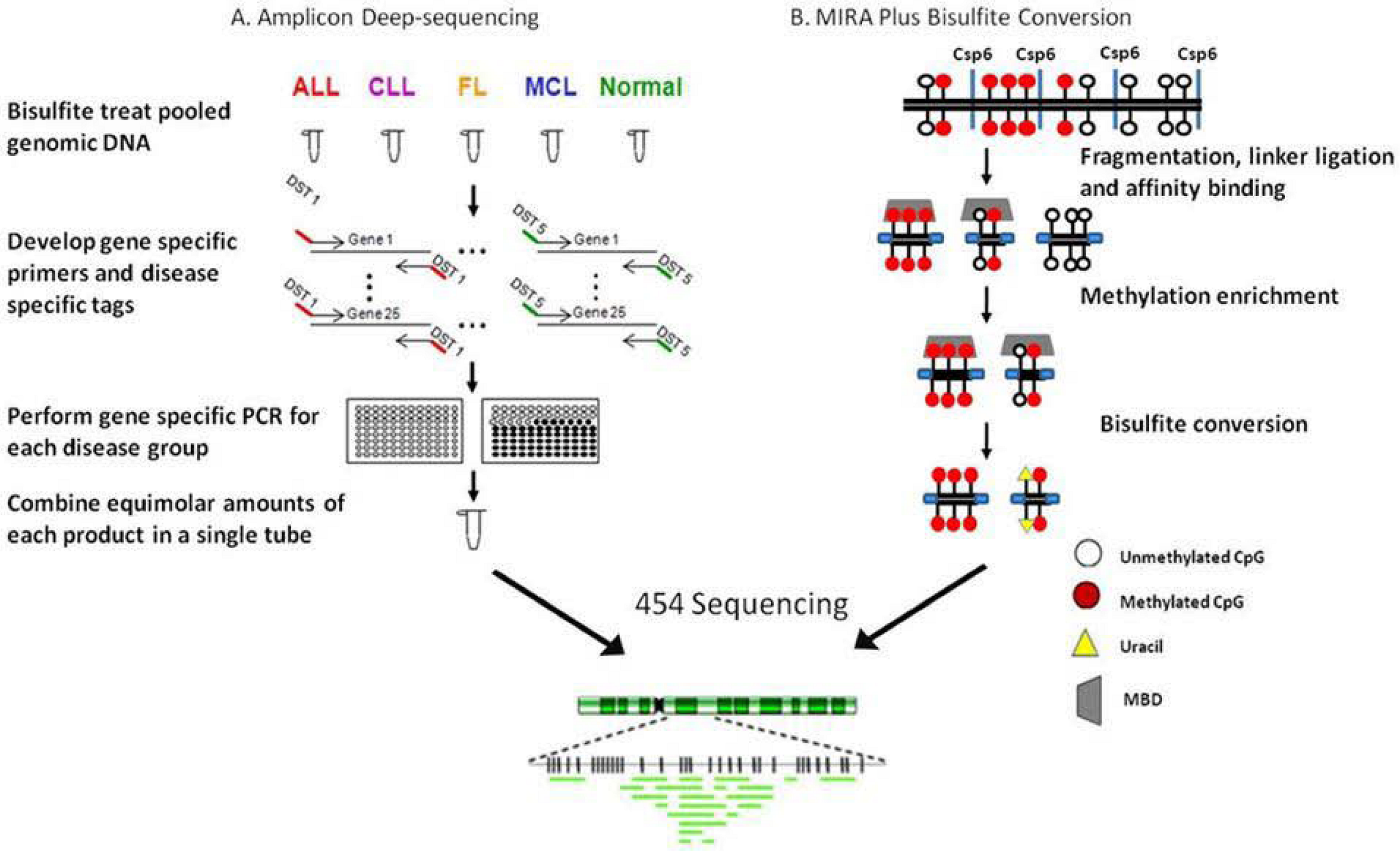 Genes 01 00143 g004