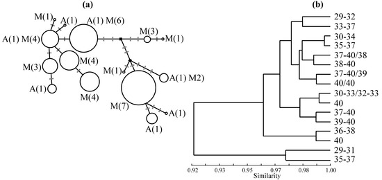 Genes 01 00193 g003 550