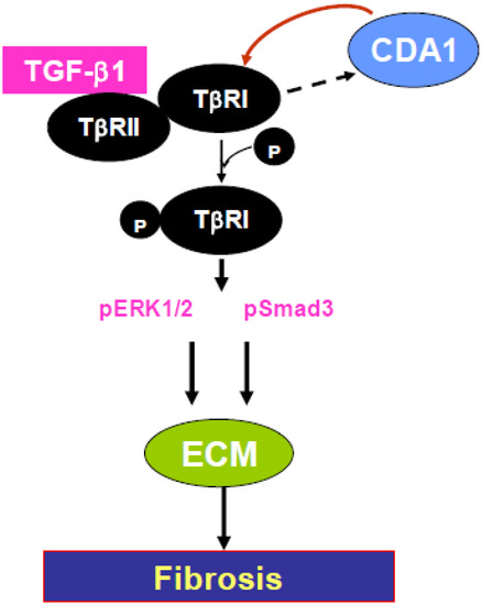 Genes 01 00335 g004 550