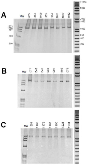 Genes 01 00357 g001 550