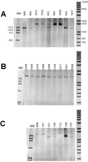 Genes 01 00357 g002 550