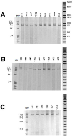 Genes 01 00357 g003 550
