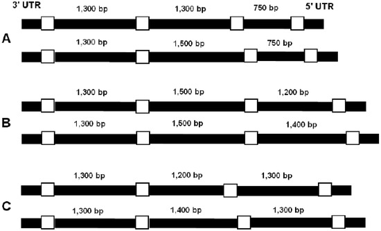 Genes 01 00357 g004 550